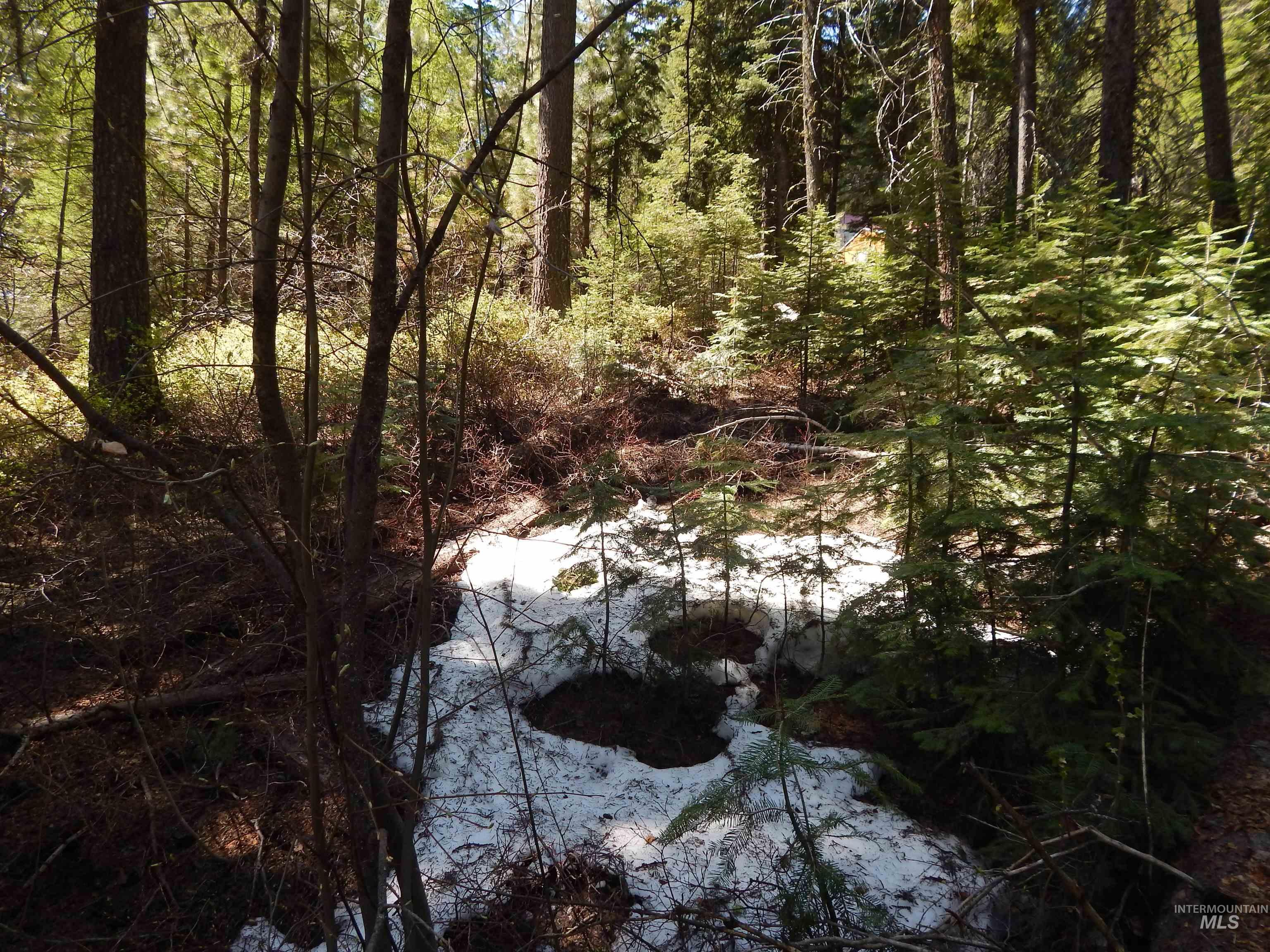 1601 Bear Trail Loop Property Photo 20