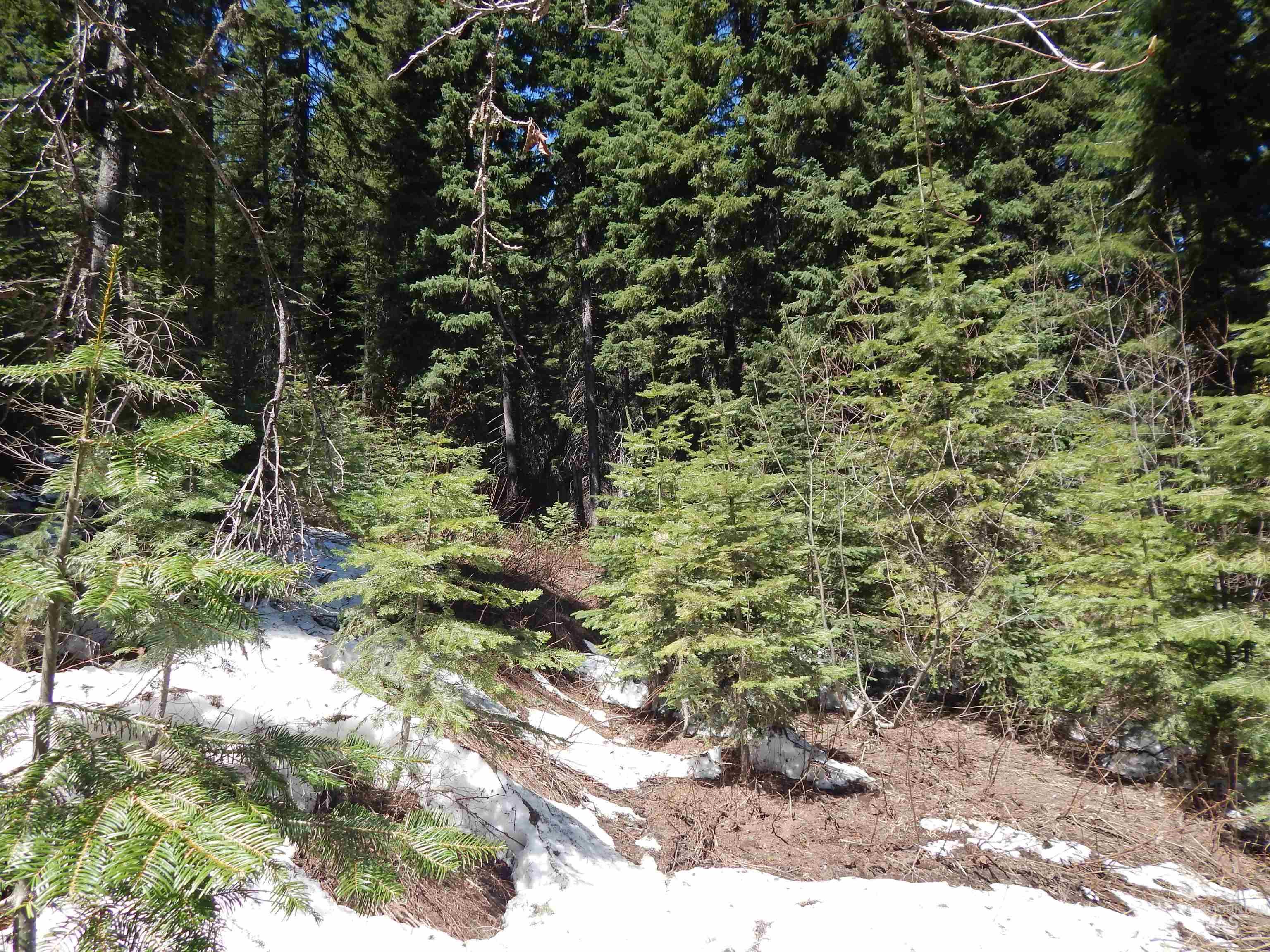 1601 Bear Trail Loop Property Photo 22