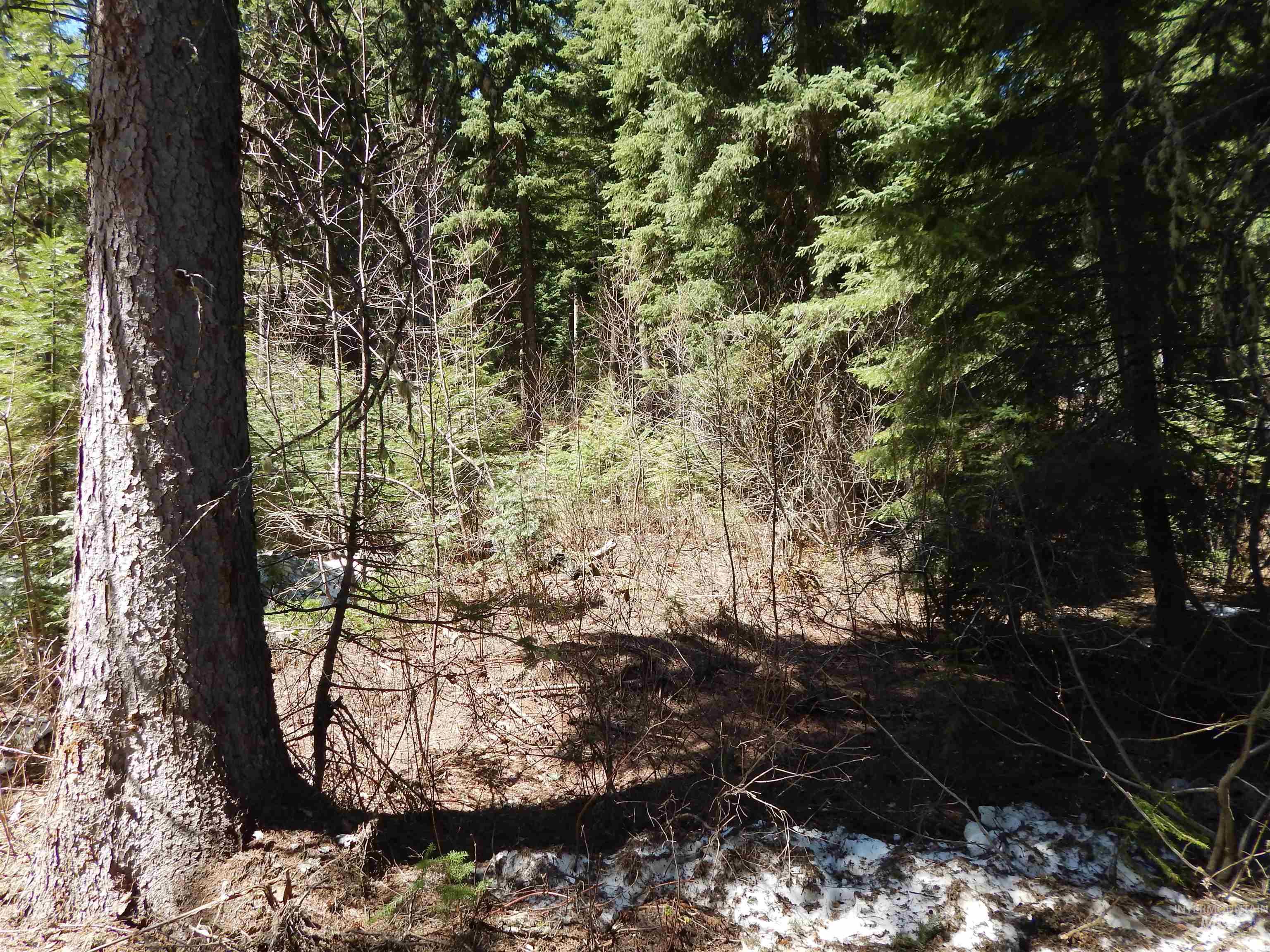 1601 Bear Trail Loop Property Photo 23