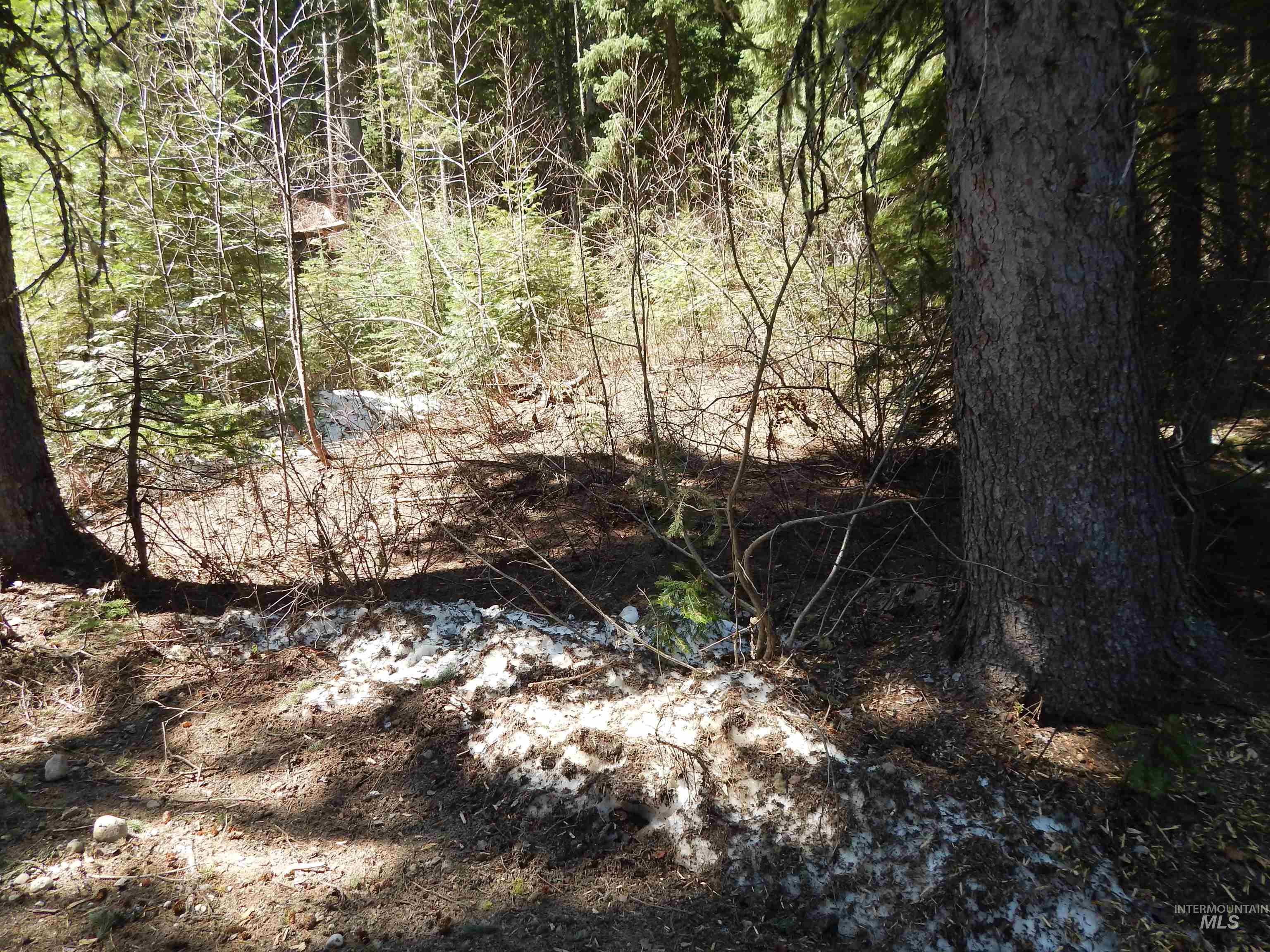 1601 Bear Trail Loop Property Photo 24