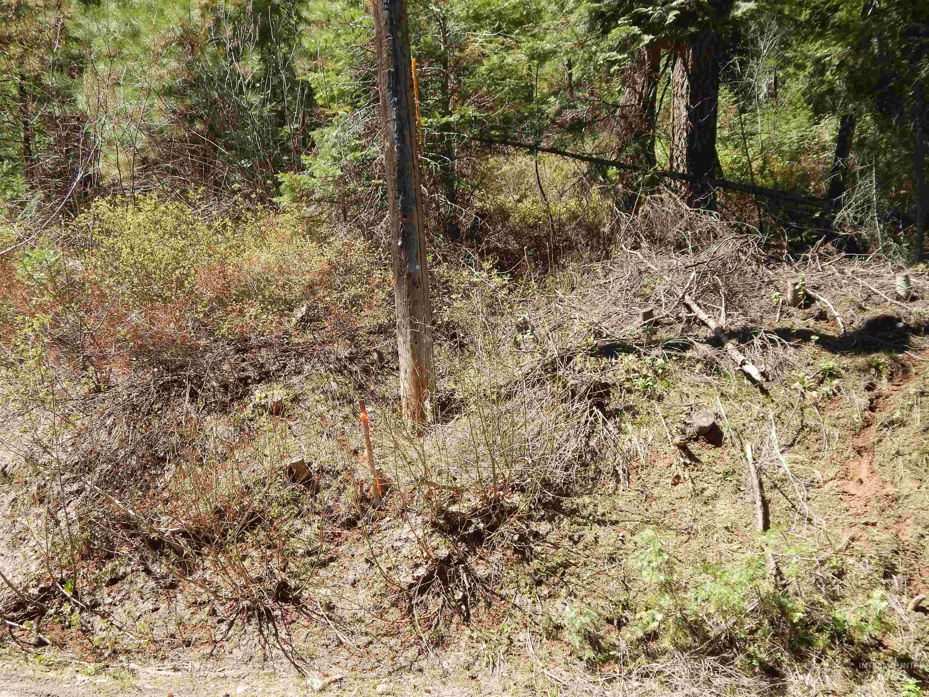 1601 Bear Trail Loop Property Photo 25