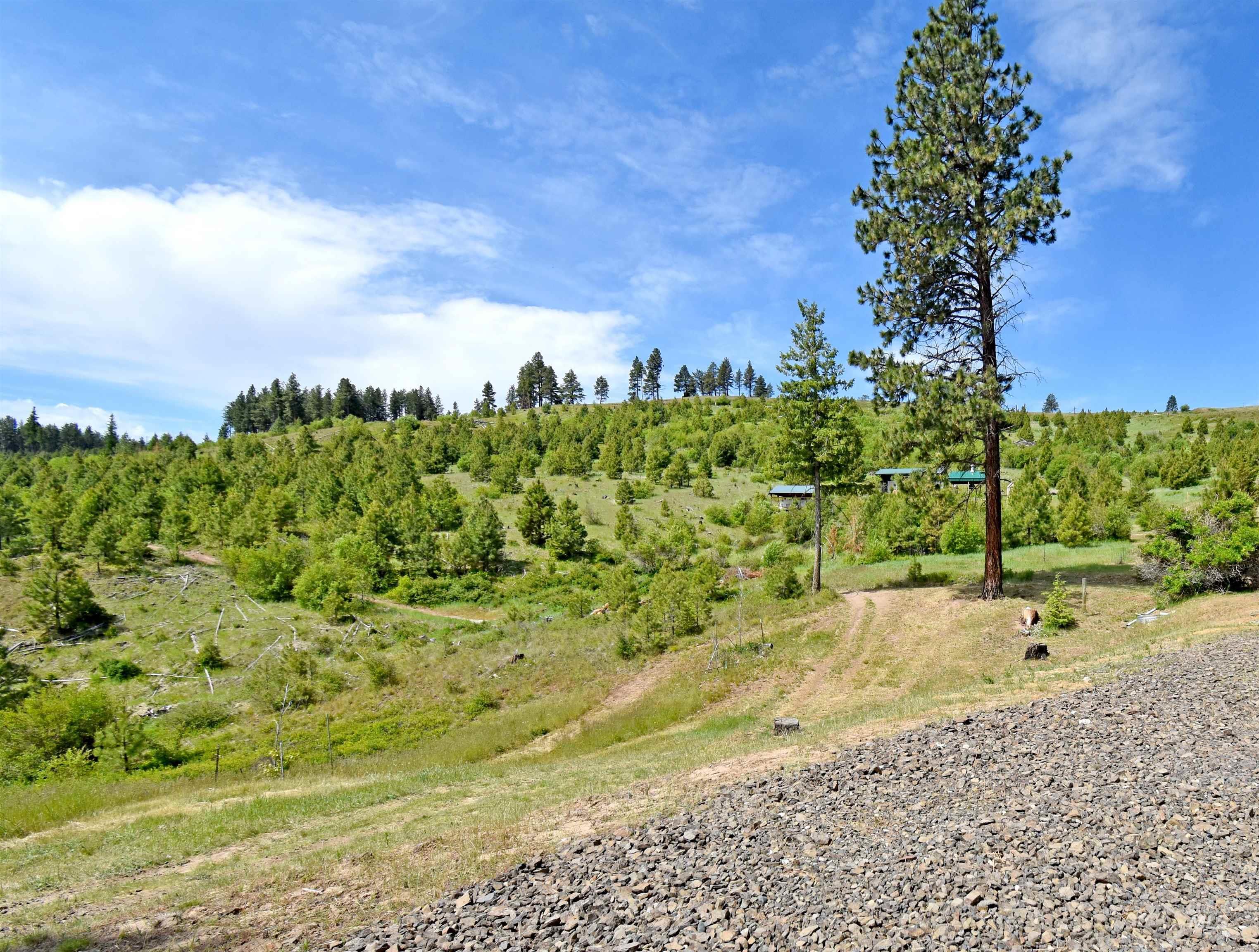 90 Fireman Canyon Road Property Photo 4