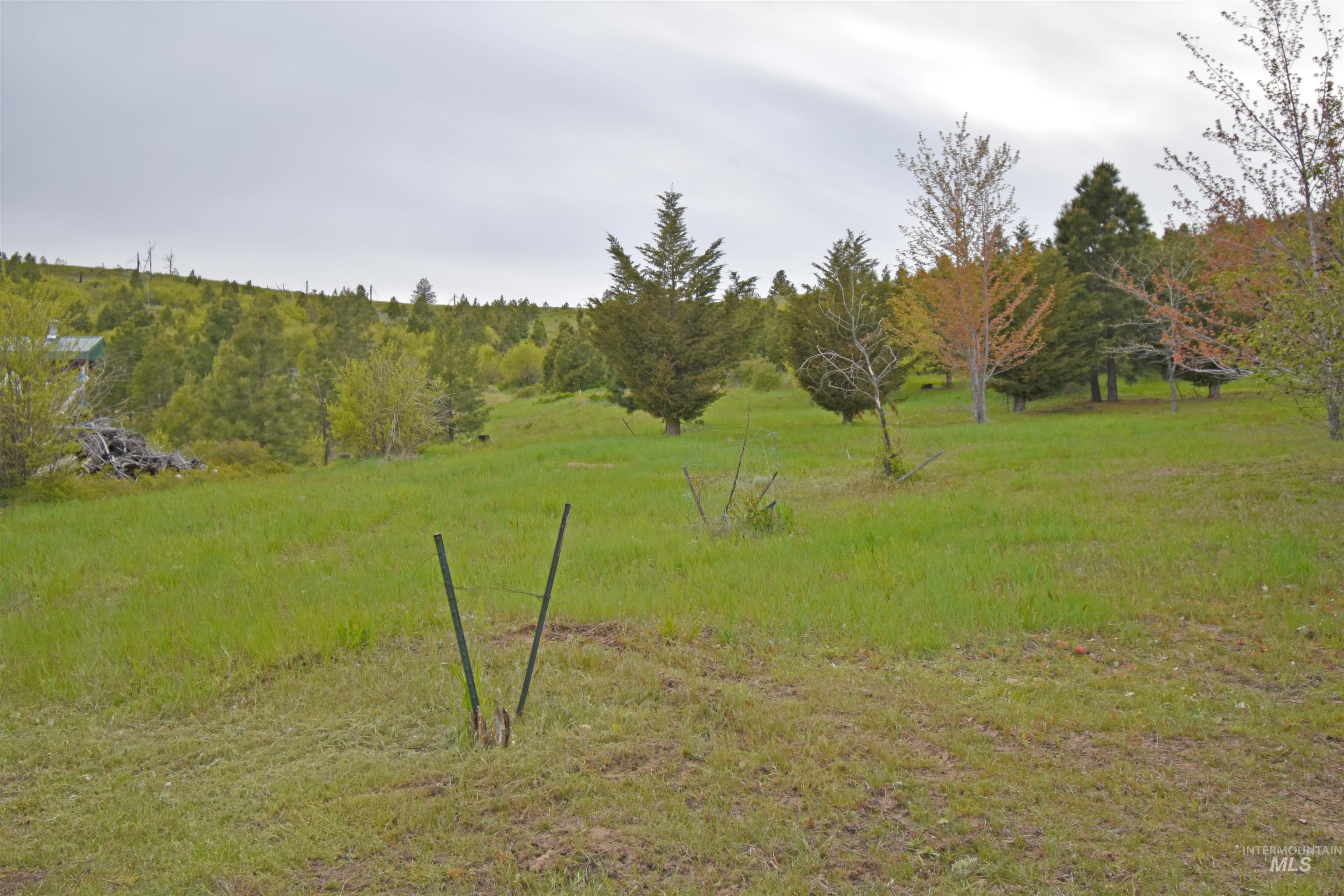 90 Fireman Canyon Road Property Photo 21
