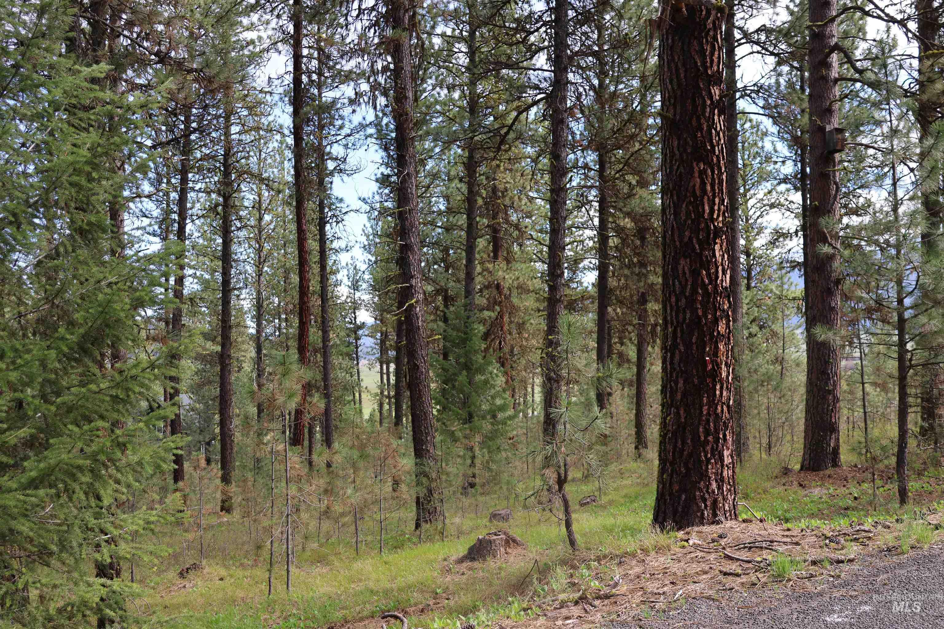 Lot 6 Hot Springs Road Property Photo 1