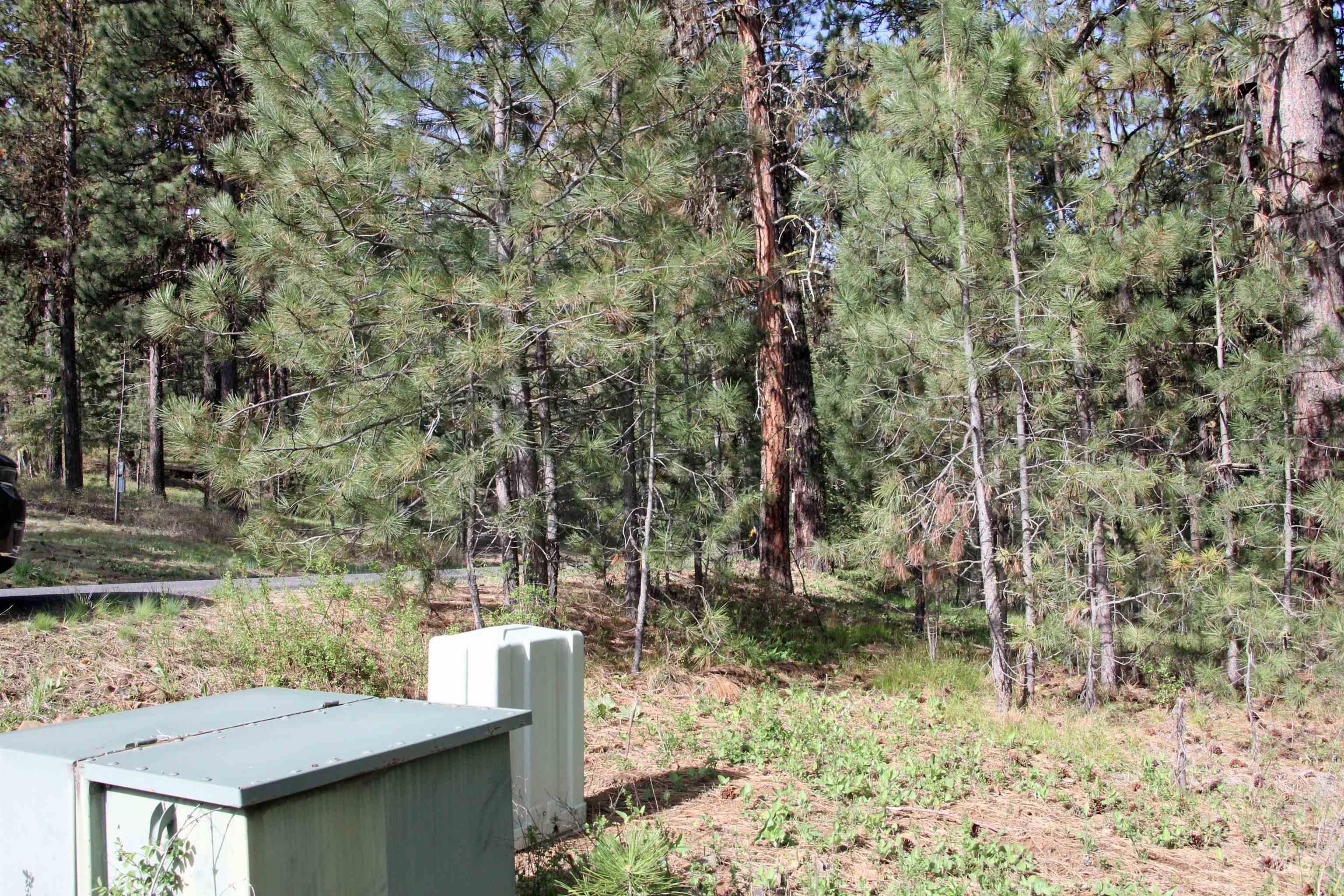 Lot 6 Hot Springs Road Property Photo 2