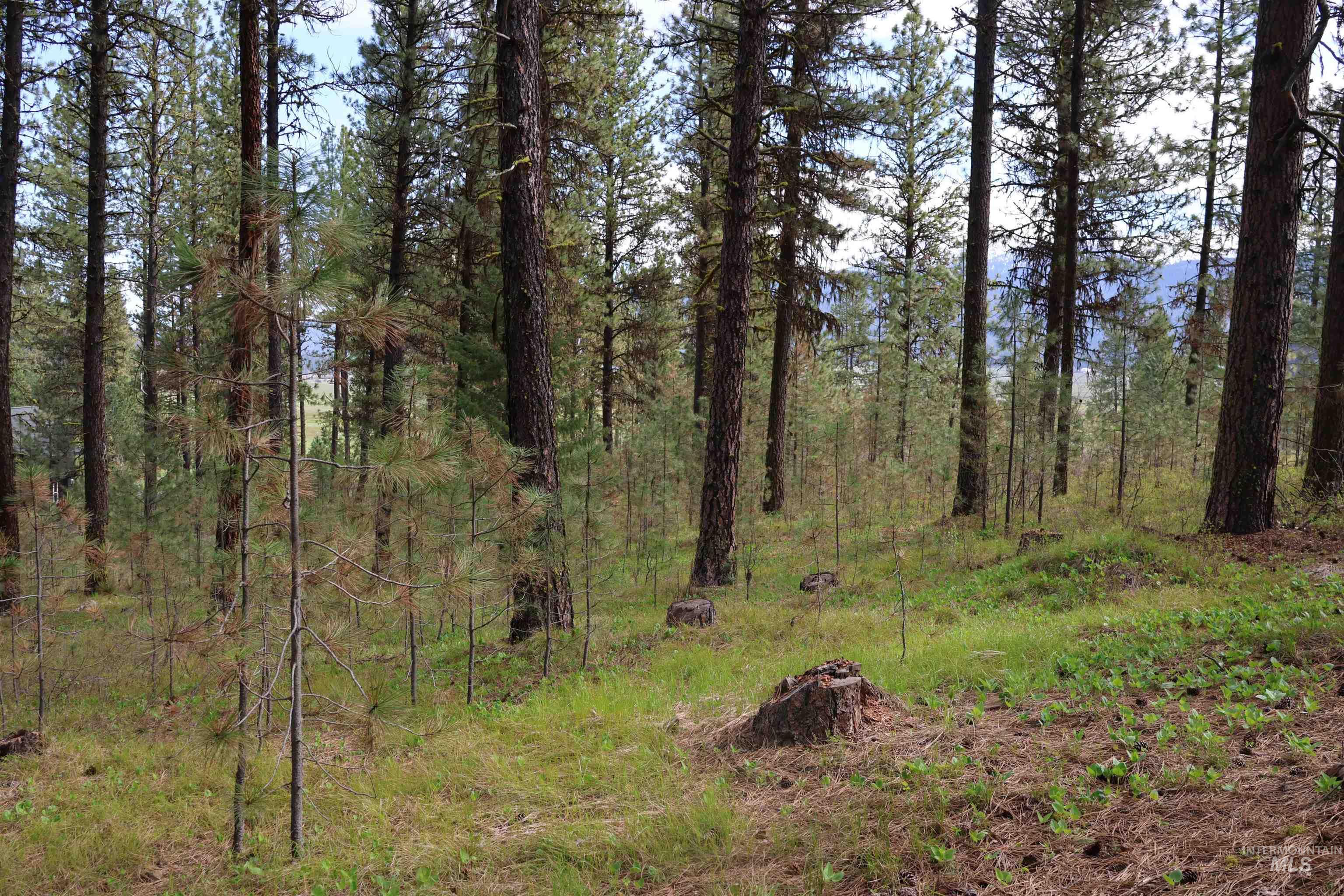 Lot 6 Hot Springs Road Property Photo 3