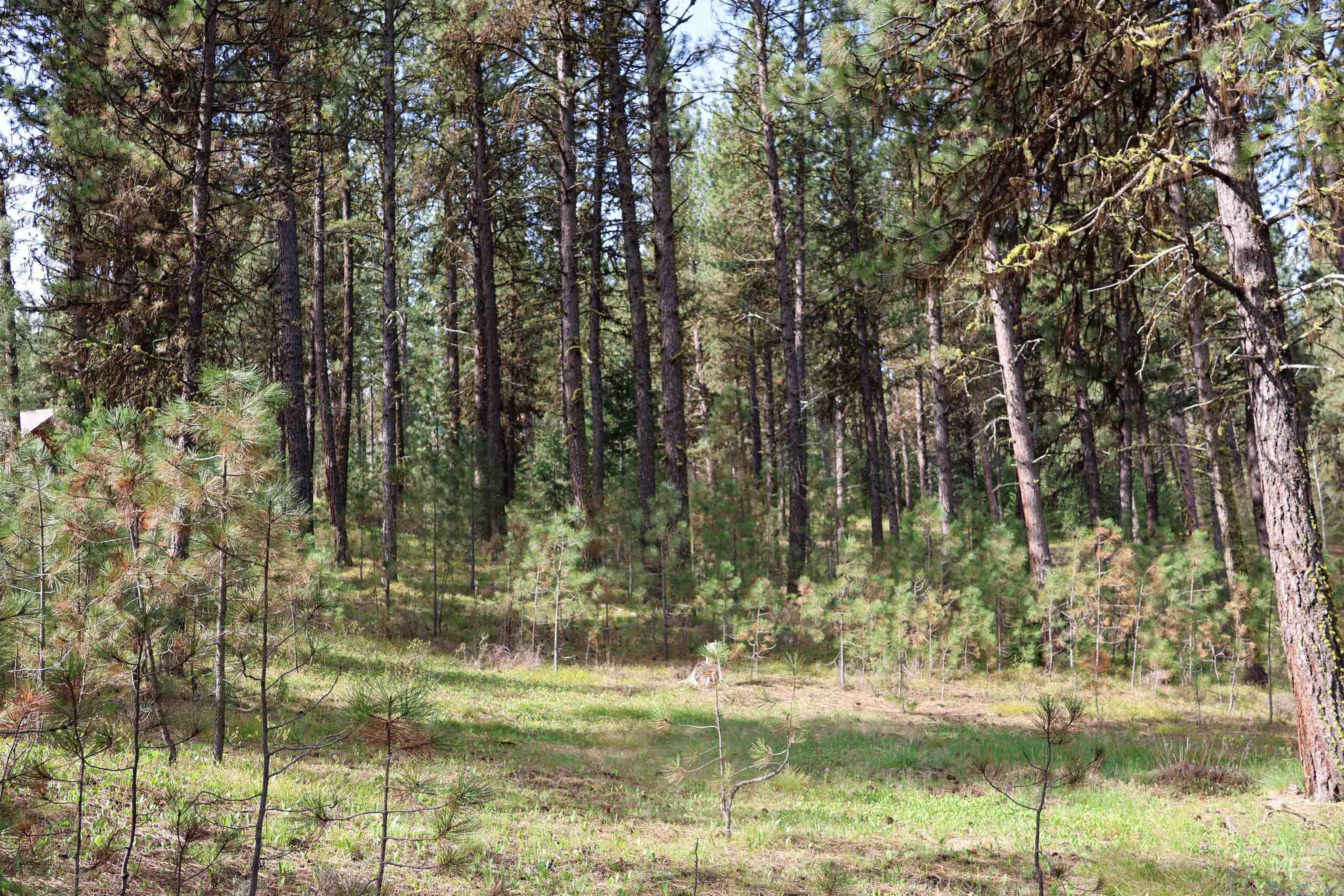 Lot 6 Hot Springs Road Property Photo 4