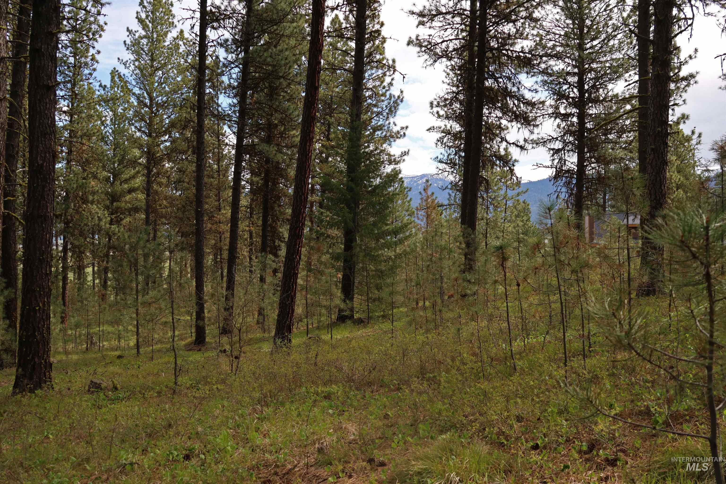Lot 6 Hot Springs Road Property Photo 5