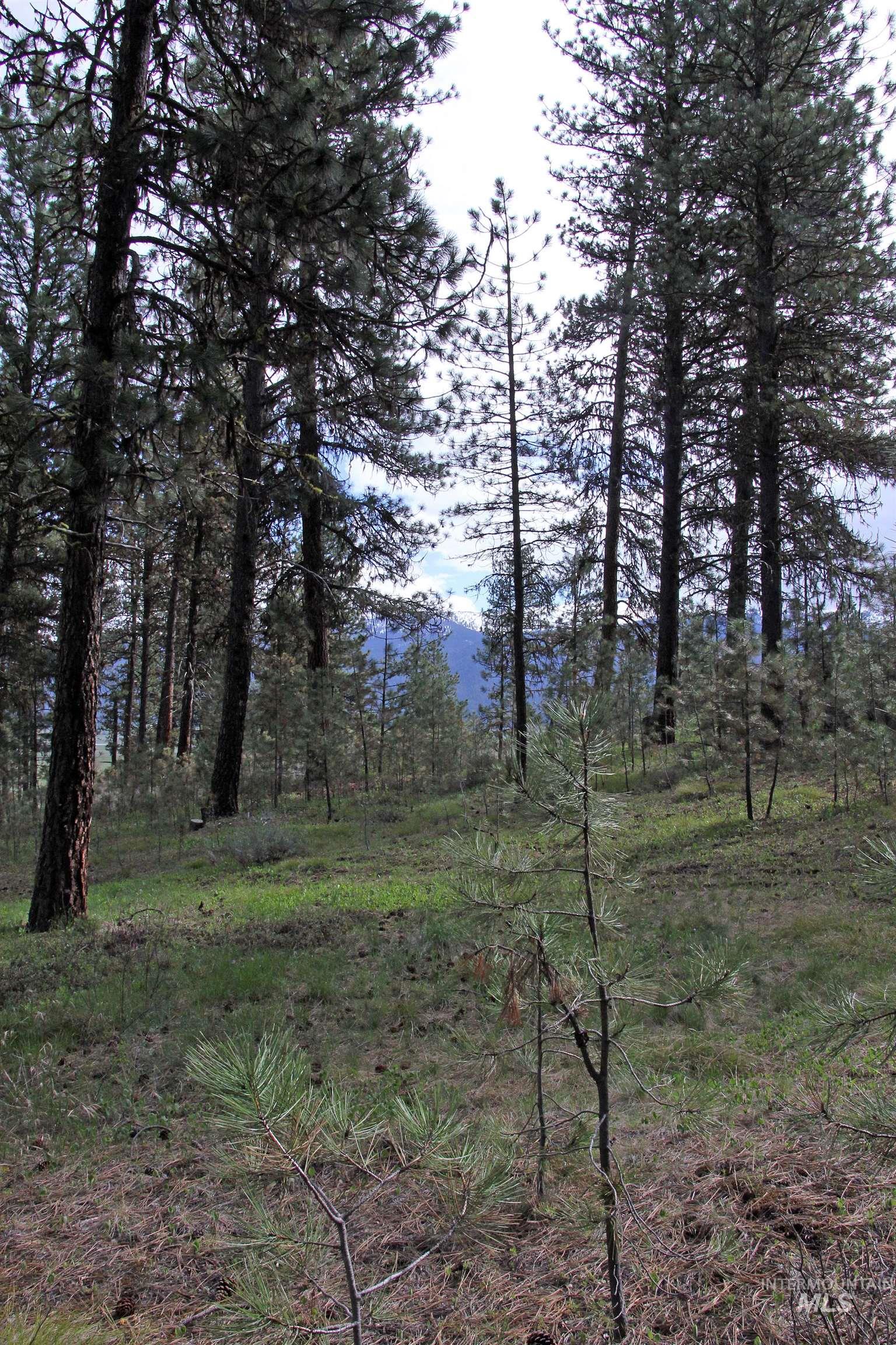 Lot 6 Hot Springs Road Property Photo 6