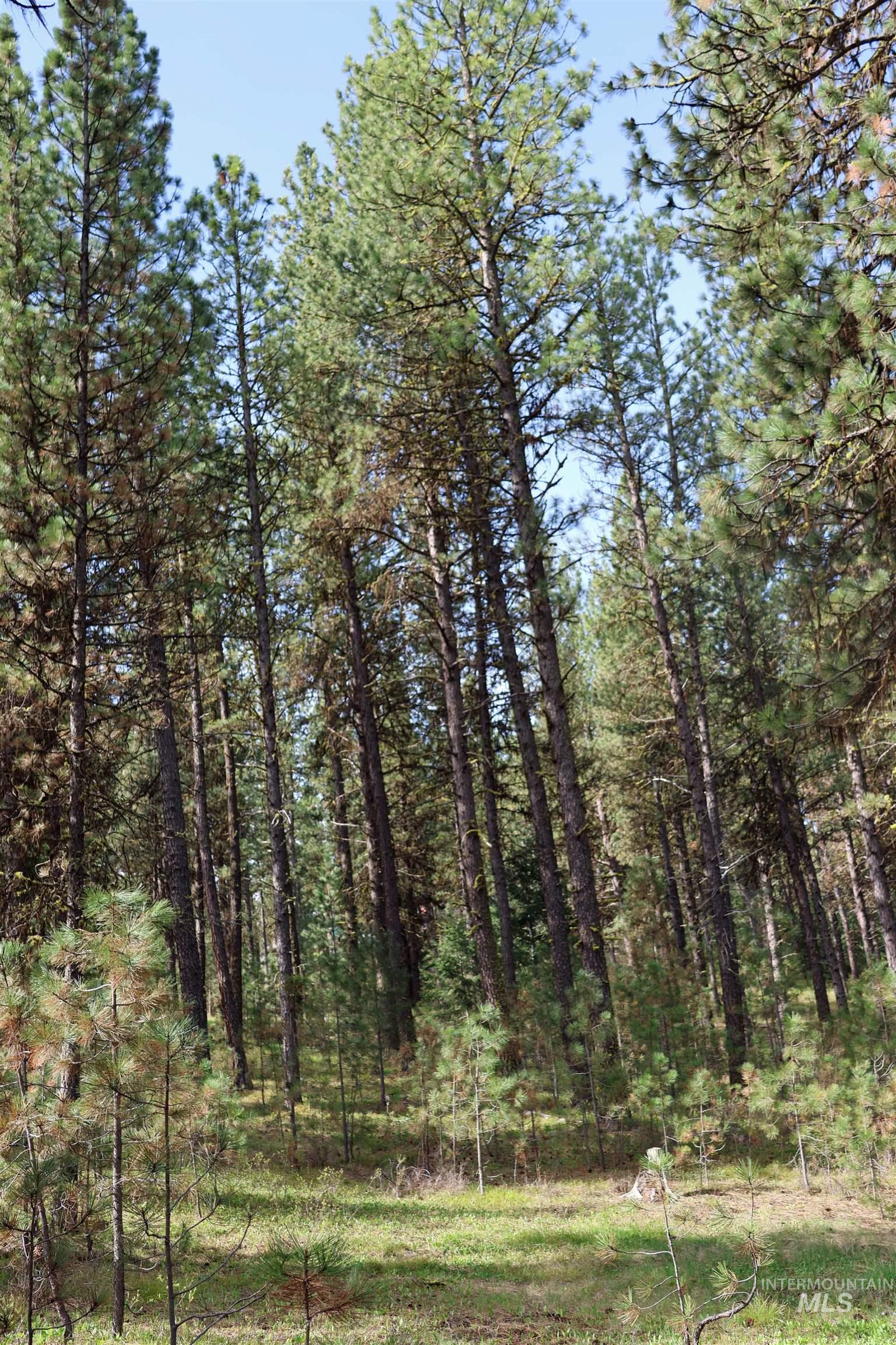 Lot 6 Hot Springs Road Property Photo 7