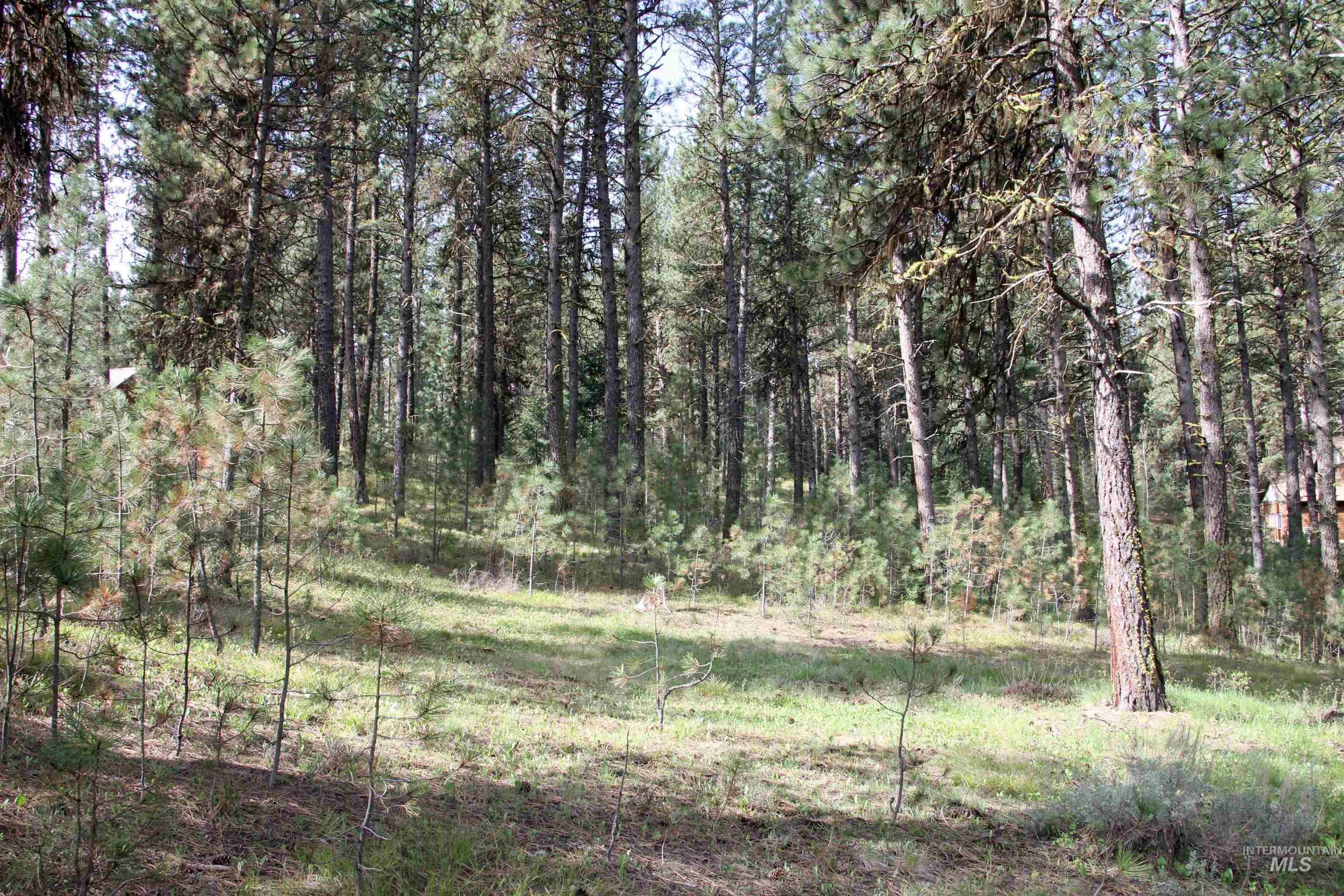 Lot 6 Hot Springs Road Property Photo 8