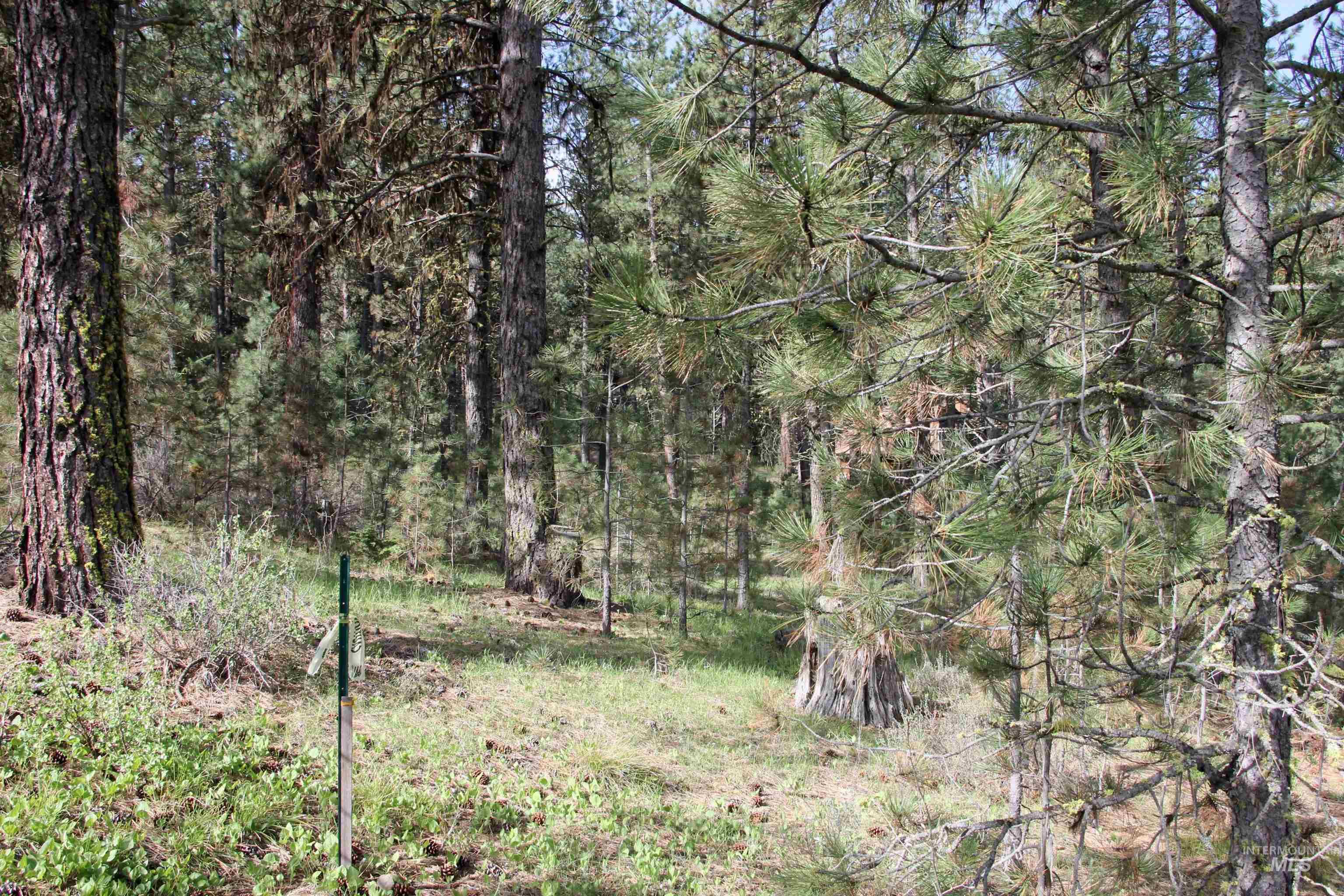 Lot 6 Hot Springs Road Property Photo 9
