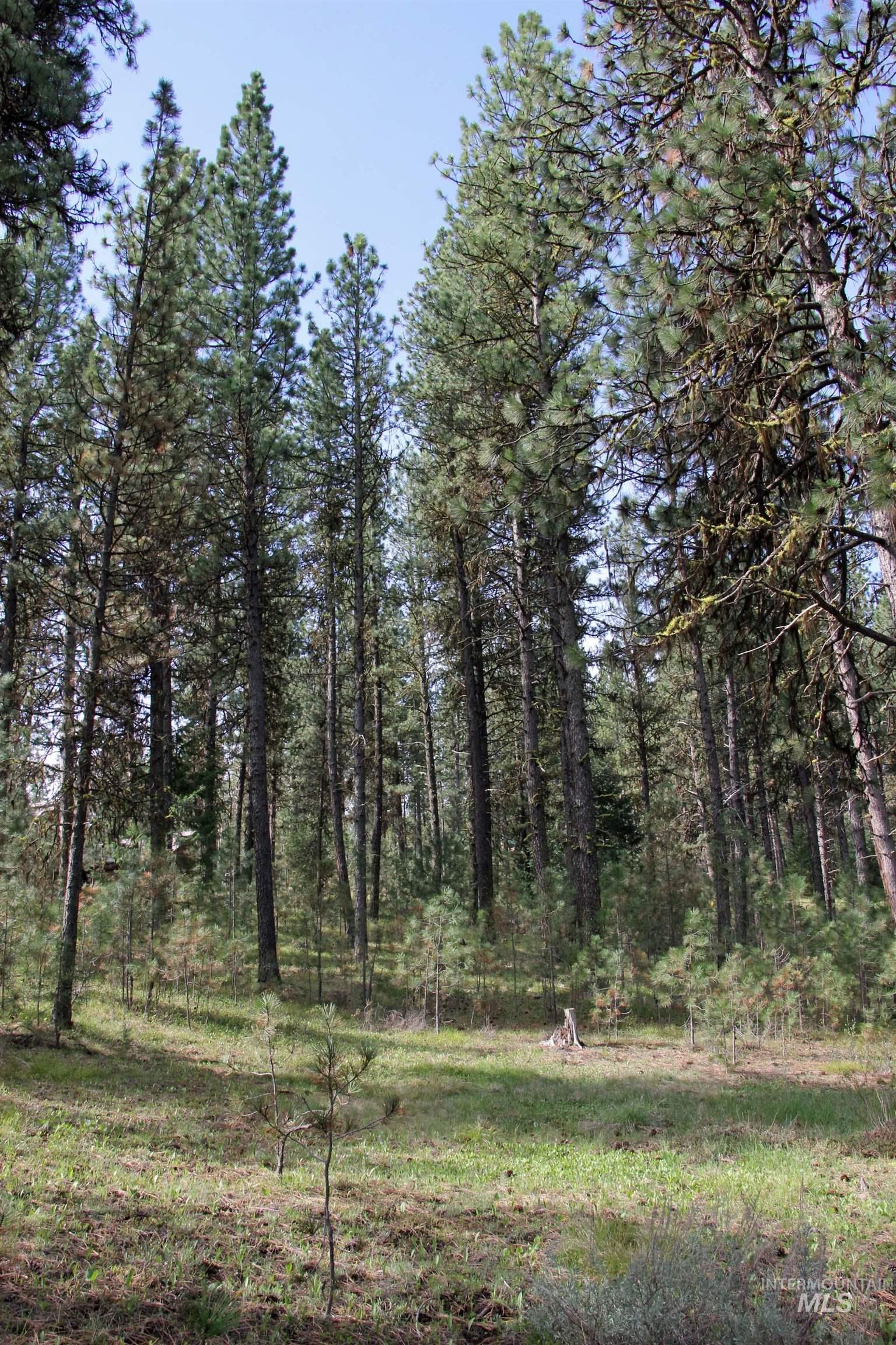 Lot 6 Hot Springs Road Property Photo 10
