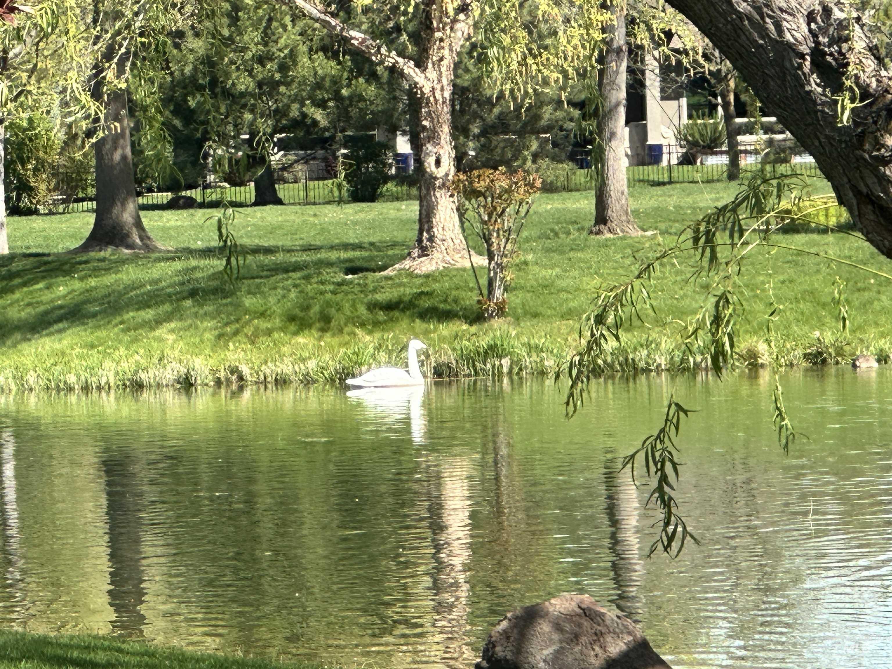 4635 W Braveheart St Property Photo 44