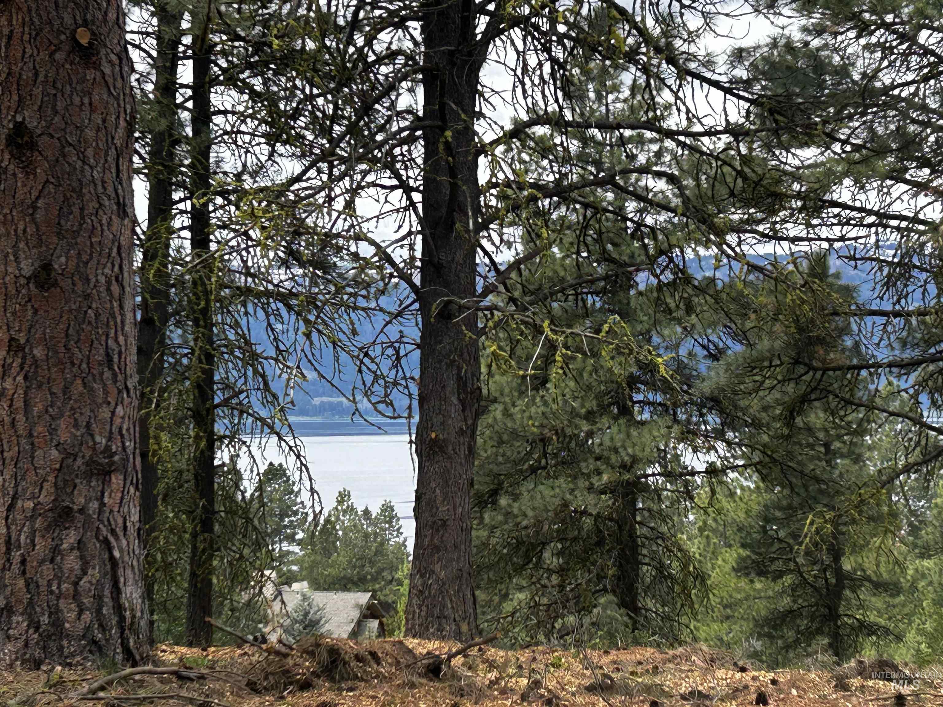 1483 Pine Lakes Ranch Rd Property Photo 2