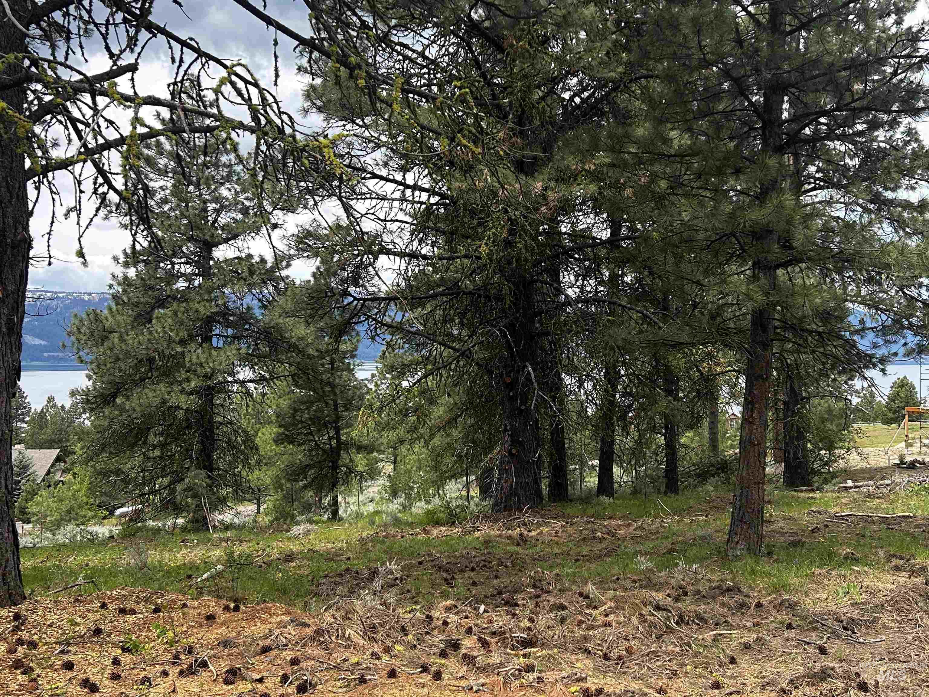 1483 Pine Lakes Ranch Rd Property Photo 3