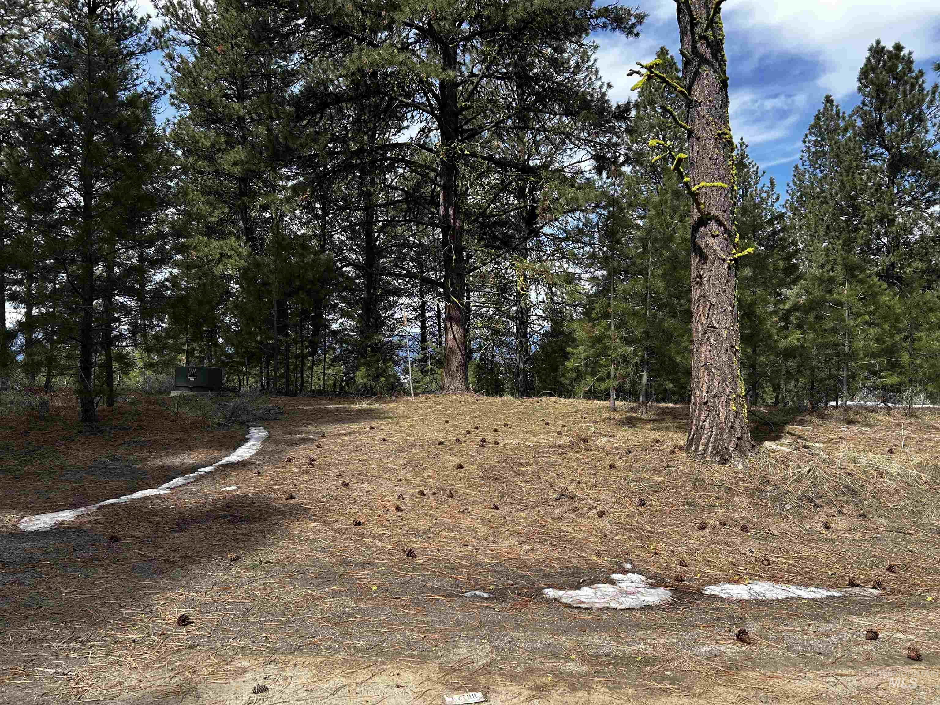 1483 Pine Lakes Ranch Rd Property Photo 5