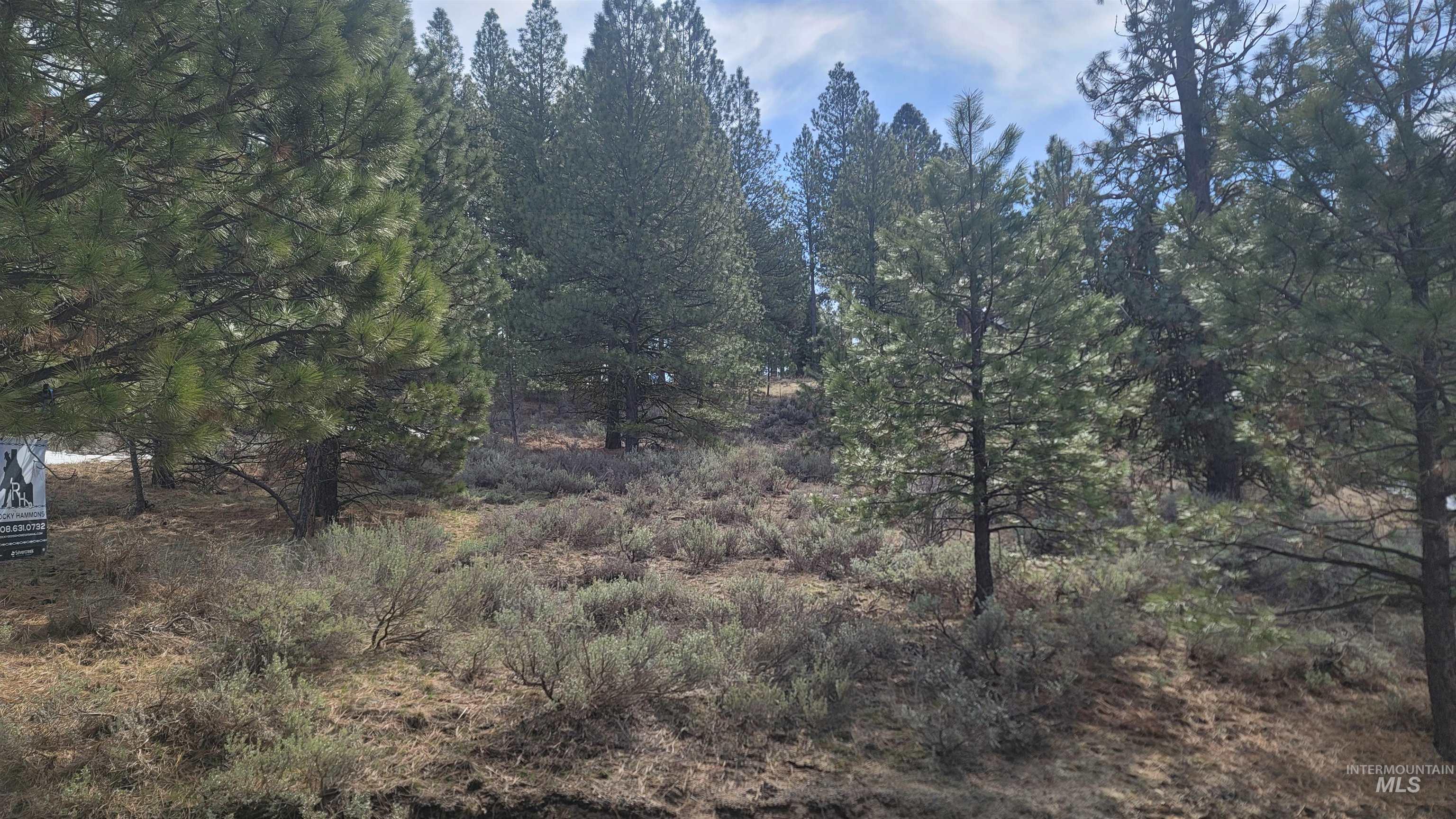 1483 Pine Lakes Ranch Rd Property Photo 14