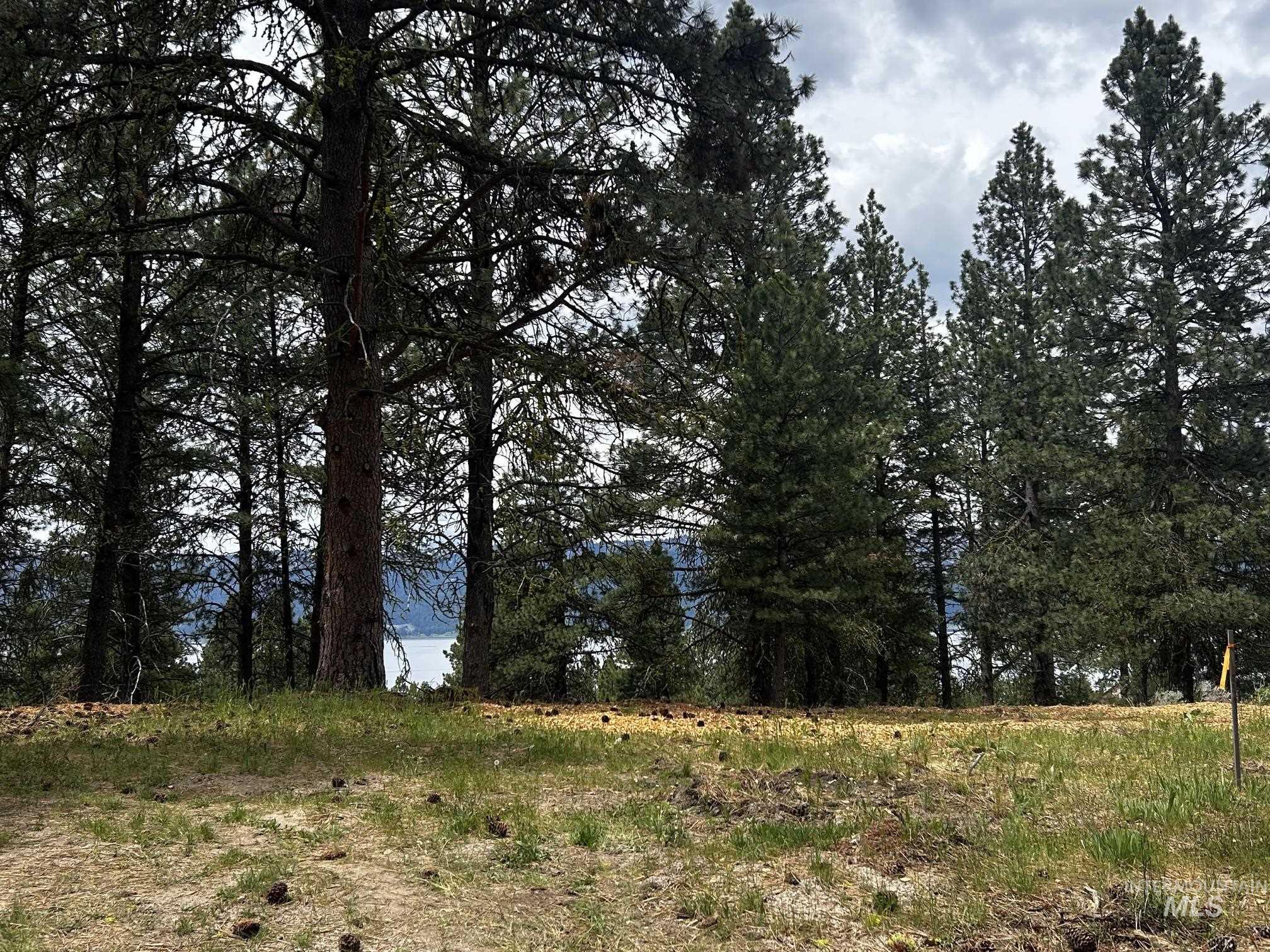 1483 Pine Lakes Ranch Rd Property Photo 19