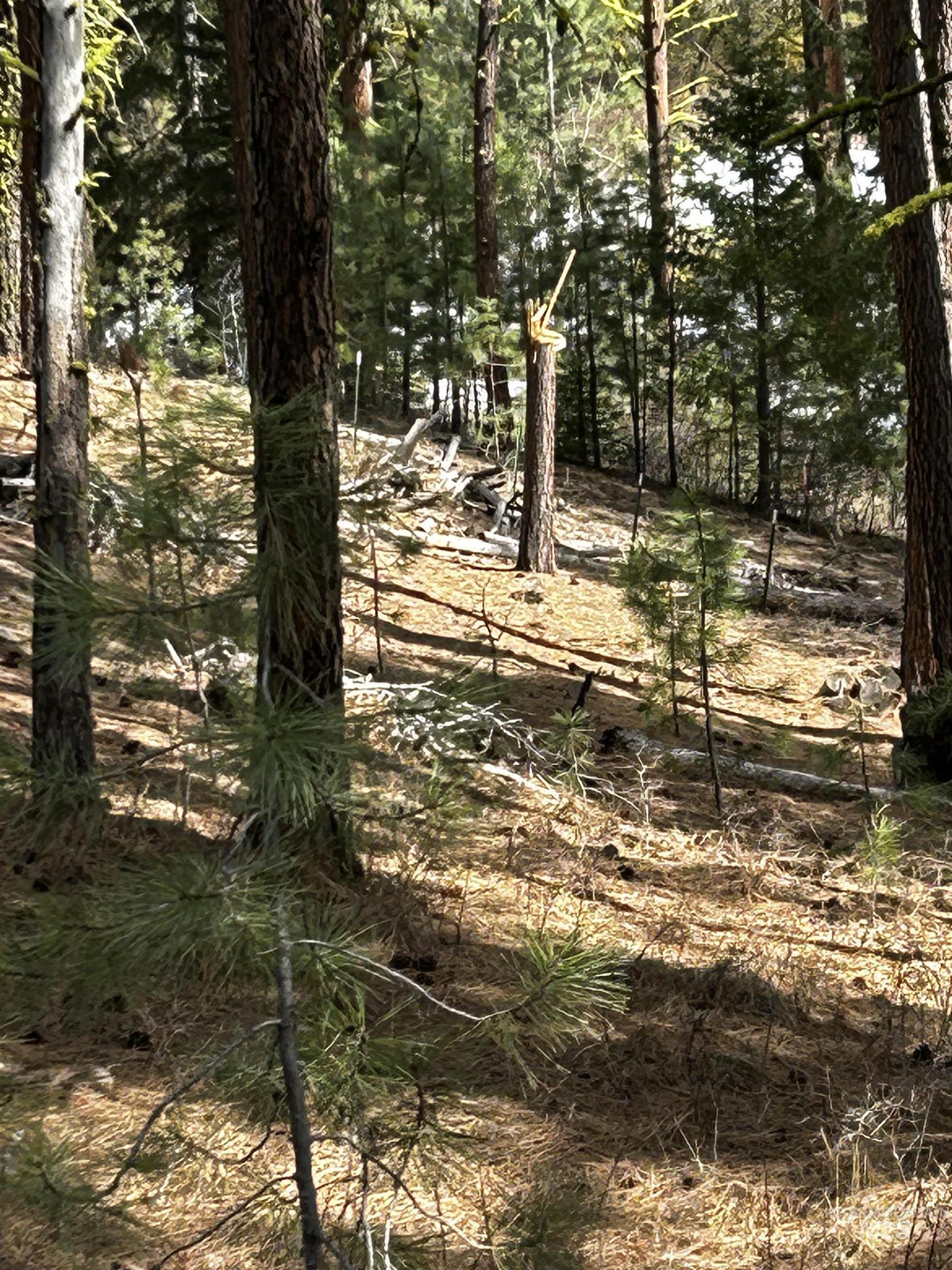 1483 Pine Lakes Ranch Rd Property Photo 20