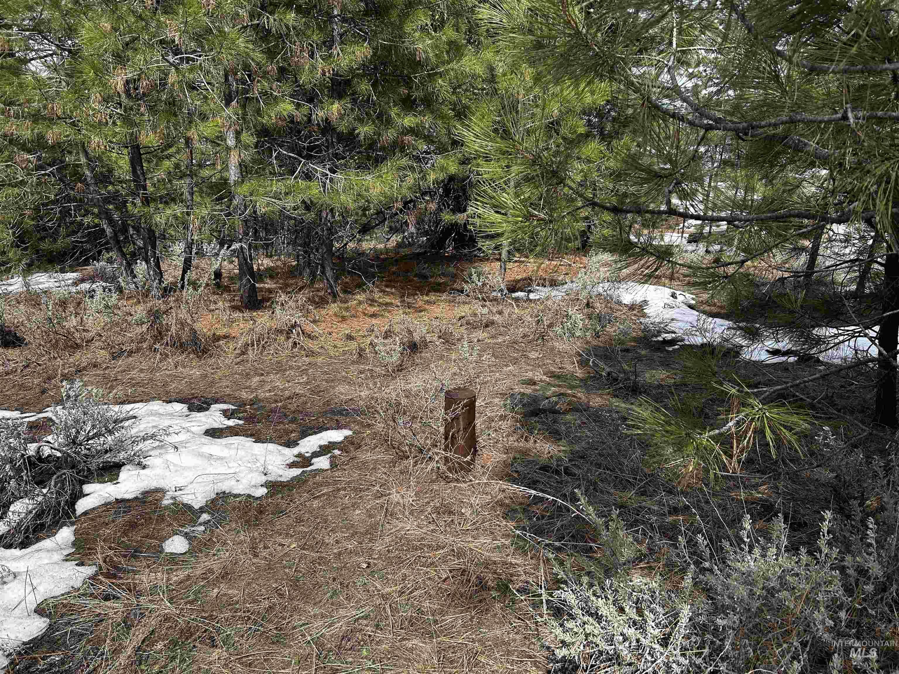 1483 Pine Lakes Ranch Rd Property Photo 21