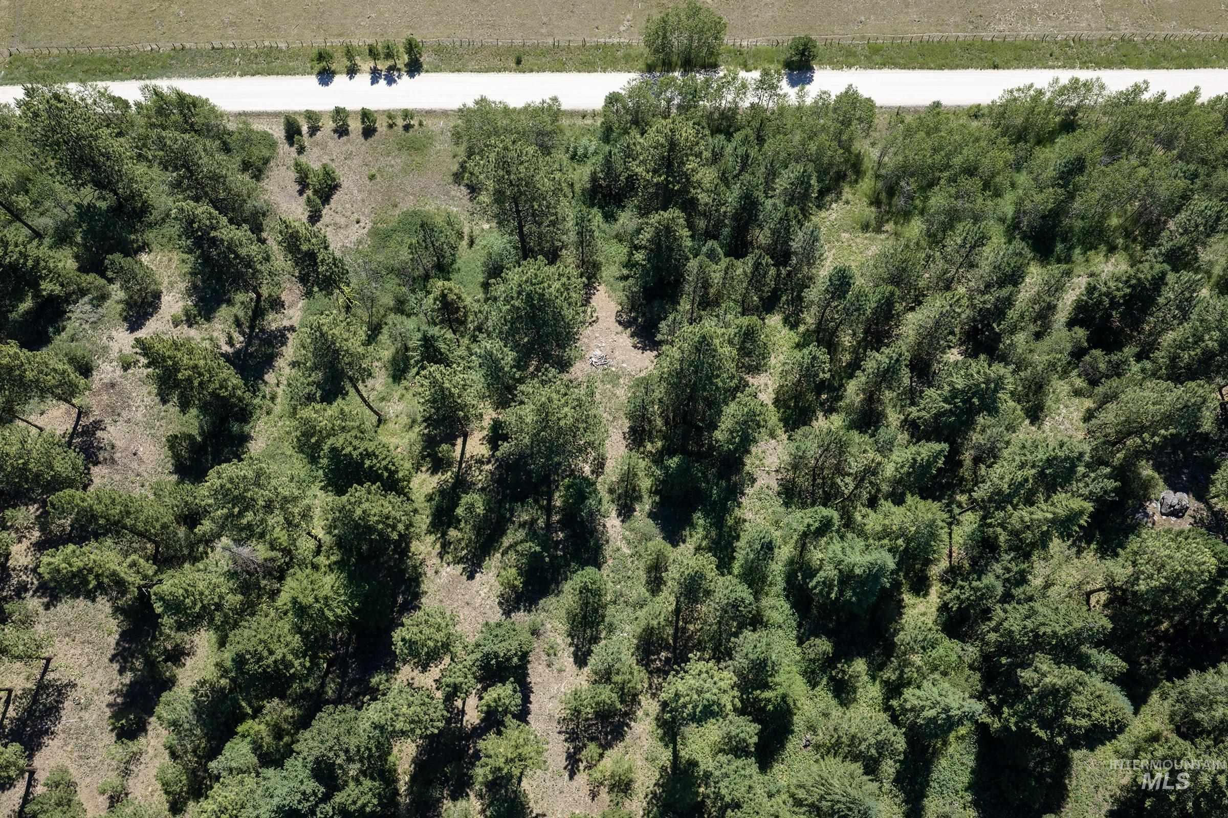 L3 B2 Rehn Loop Property Photo 6