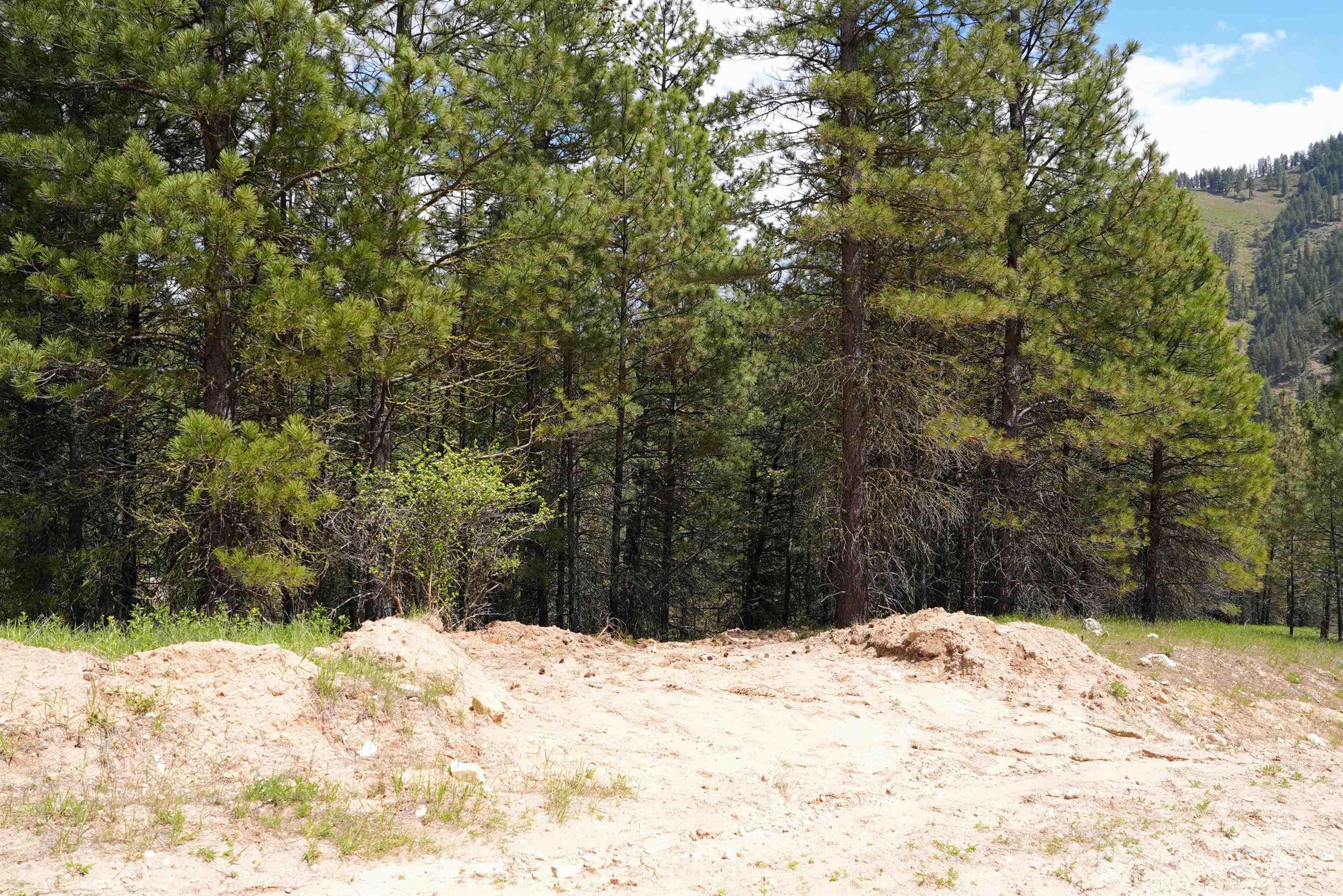 Lot 12 Overlook Dr. Property Photo 1