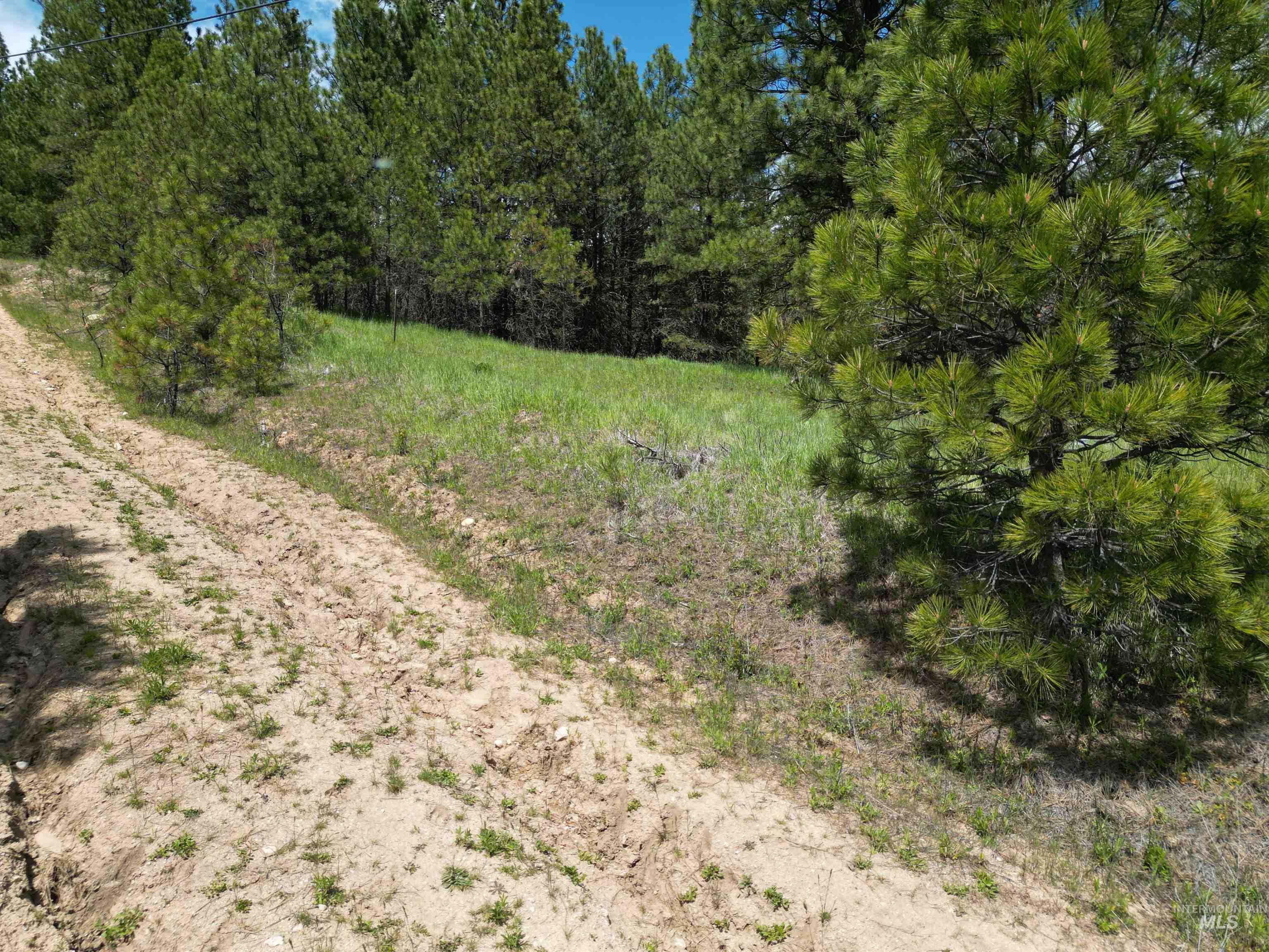 Lot 12 Overlook Dr. Property Photo 3