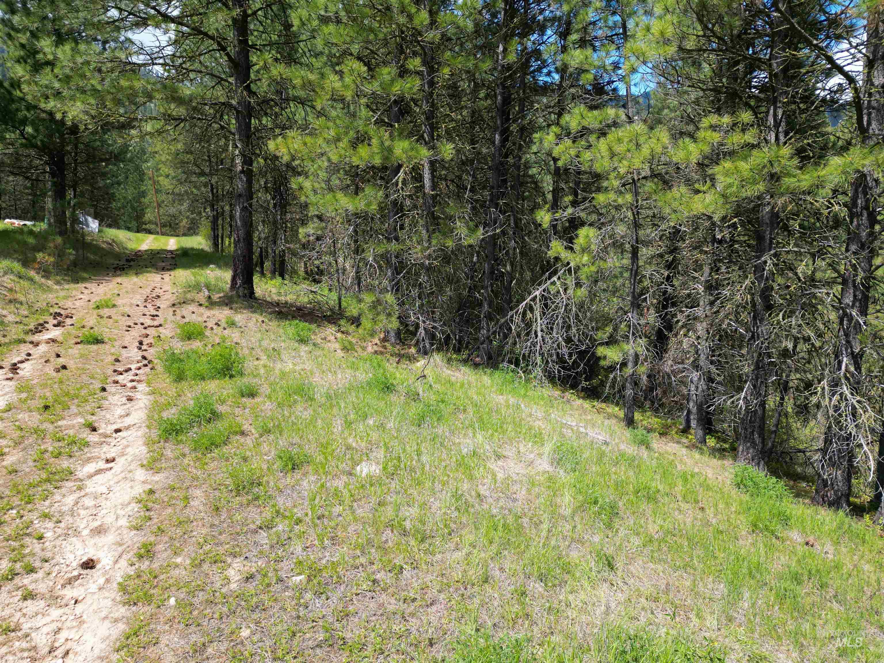 Lot 12 Overlook Dr. Property Photo 4