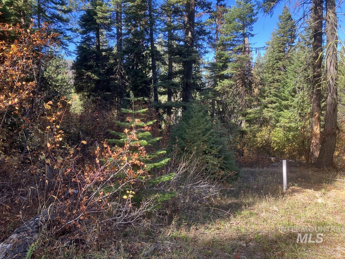 541 West Mountain Road Property Photo 2