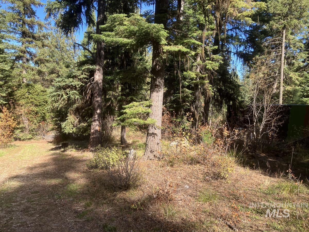 541 West Mountain Road Property Photo 5