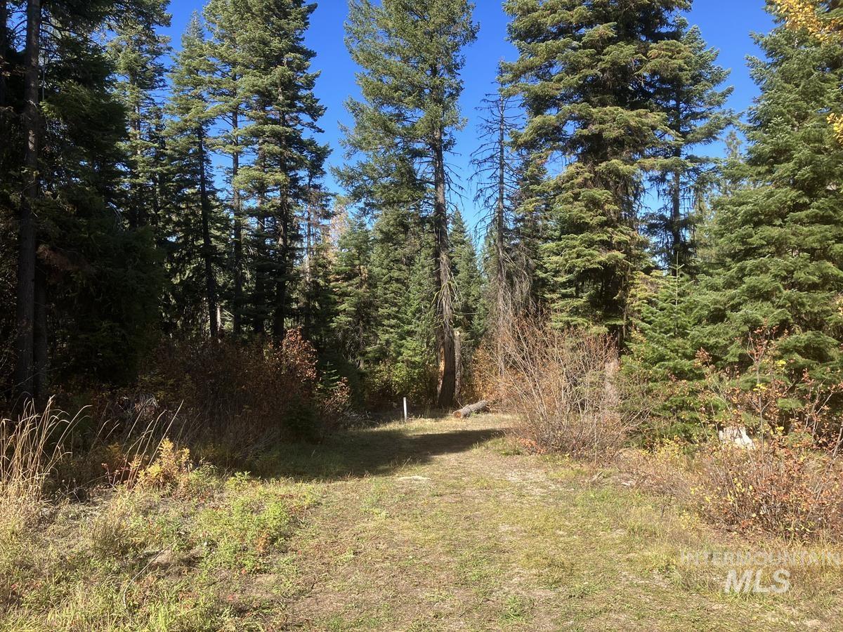 541 West Mountain Road Property Photo 6