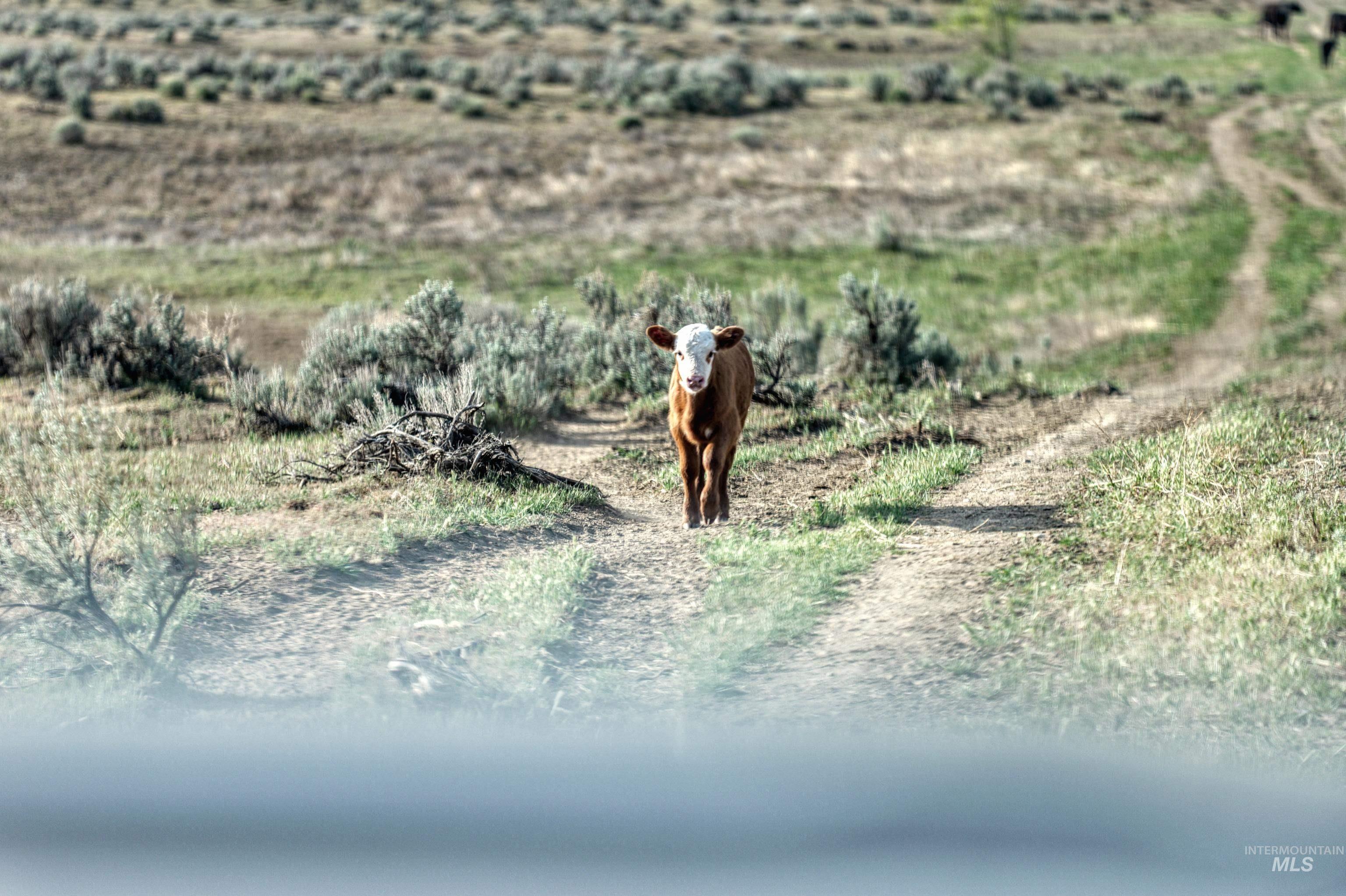 Tbd Highway 30 Property Photo 15