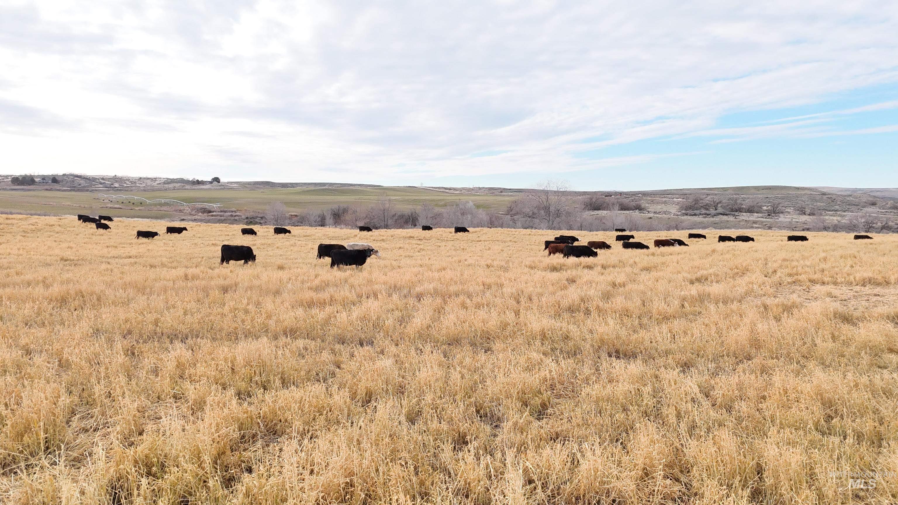 Tbd Highway 30 Property Photo 18