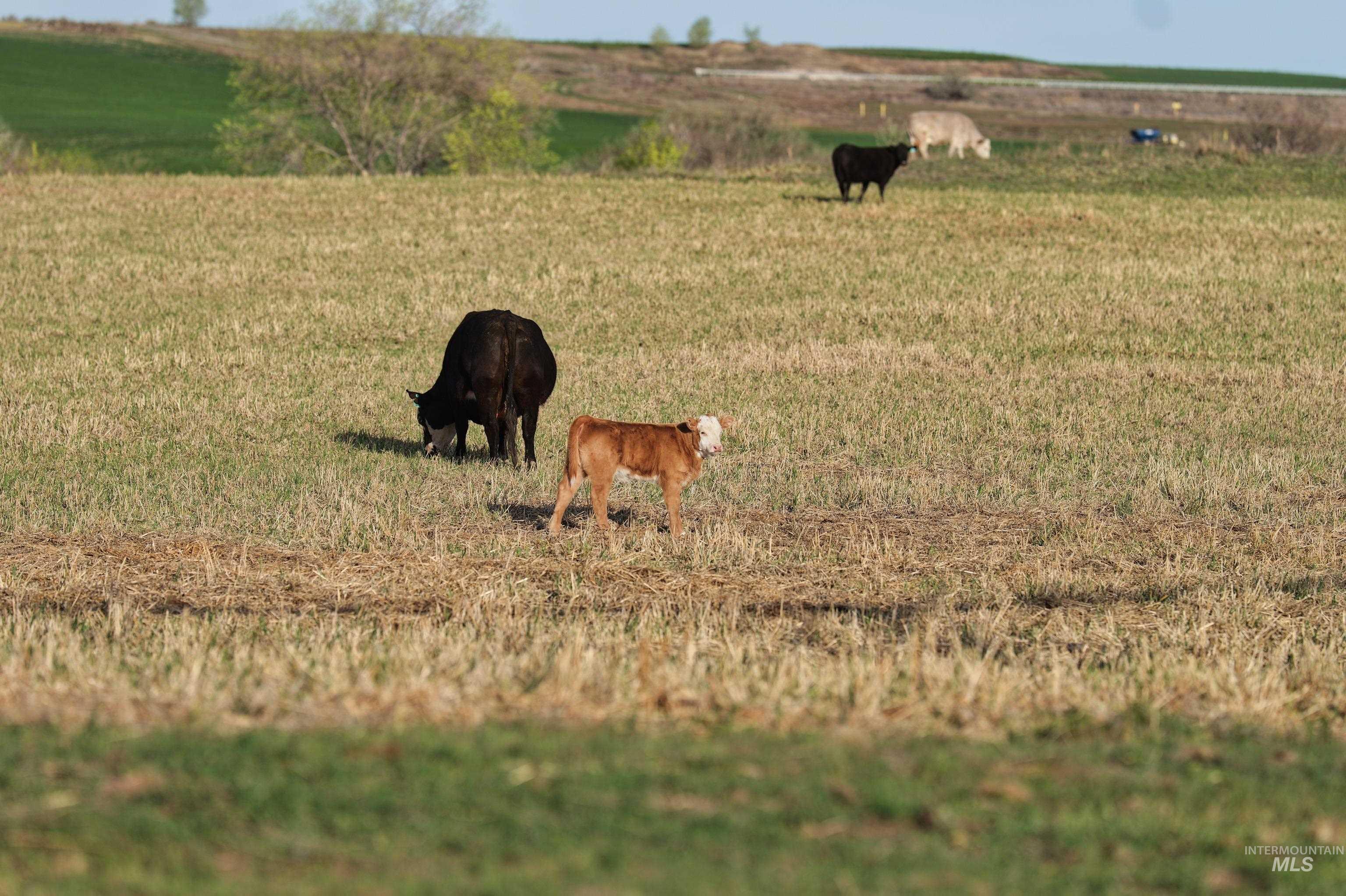 Tbd Highway 30 Property Photo 19