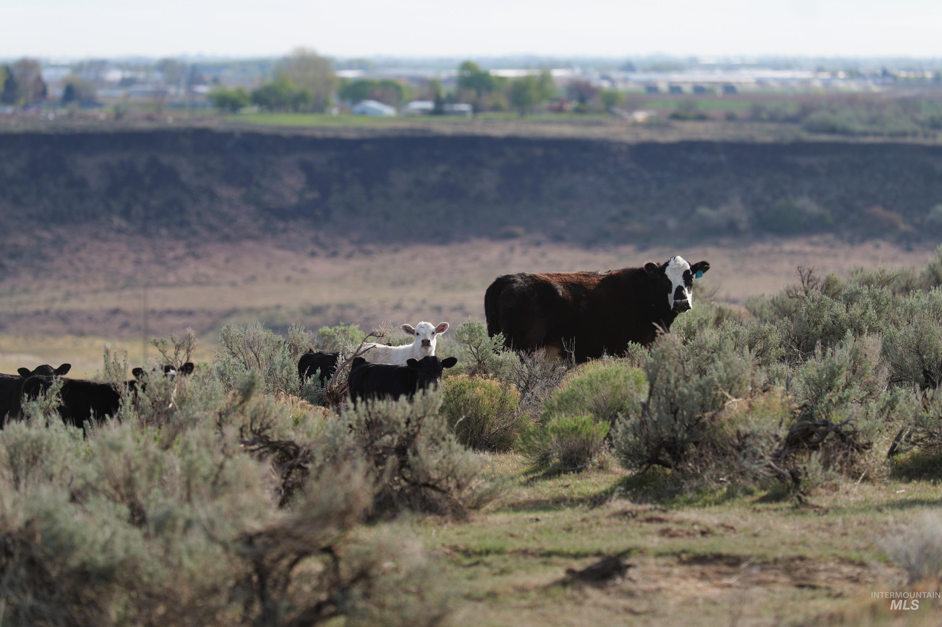Tbd Highway 30 Property Photo 26