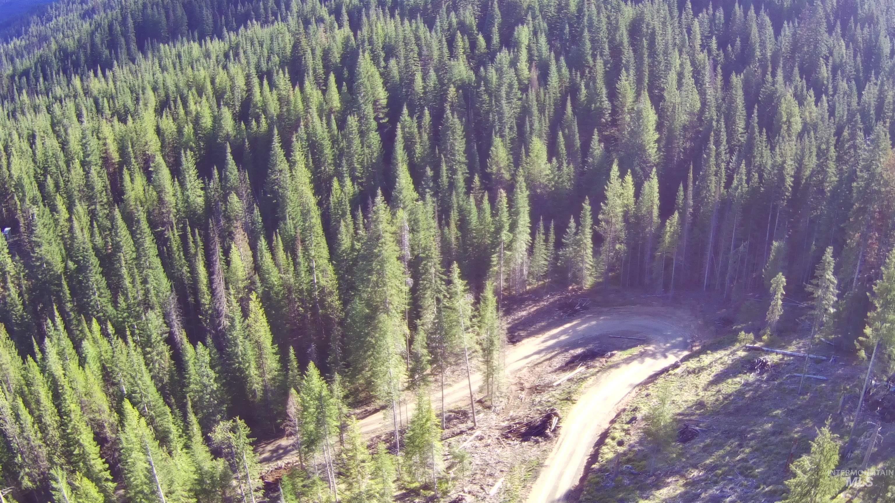 176 Buffalo Gulch Rd. Property Photo 8