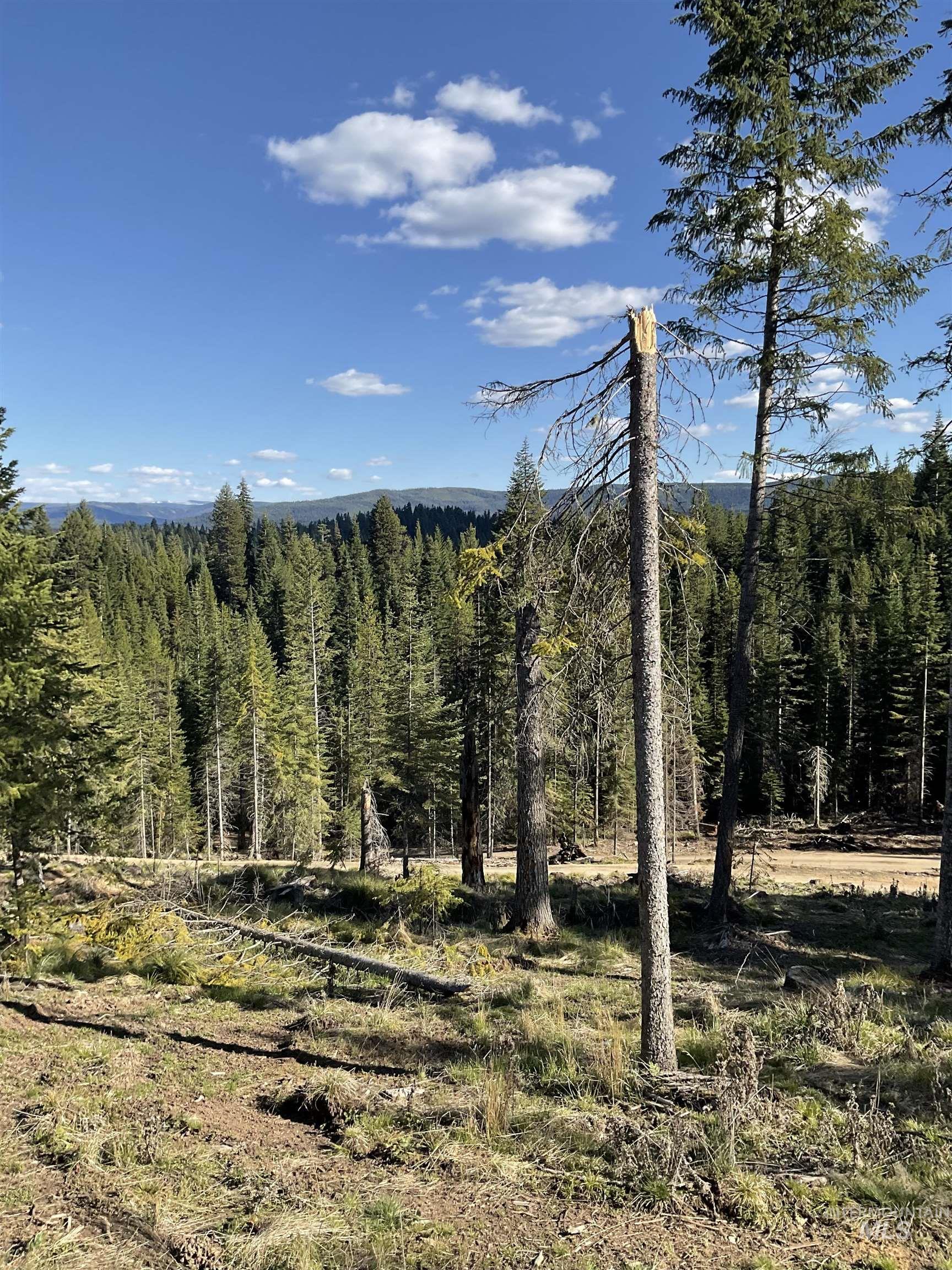 176 Buffalo Gulch Rd. Property Photo 29