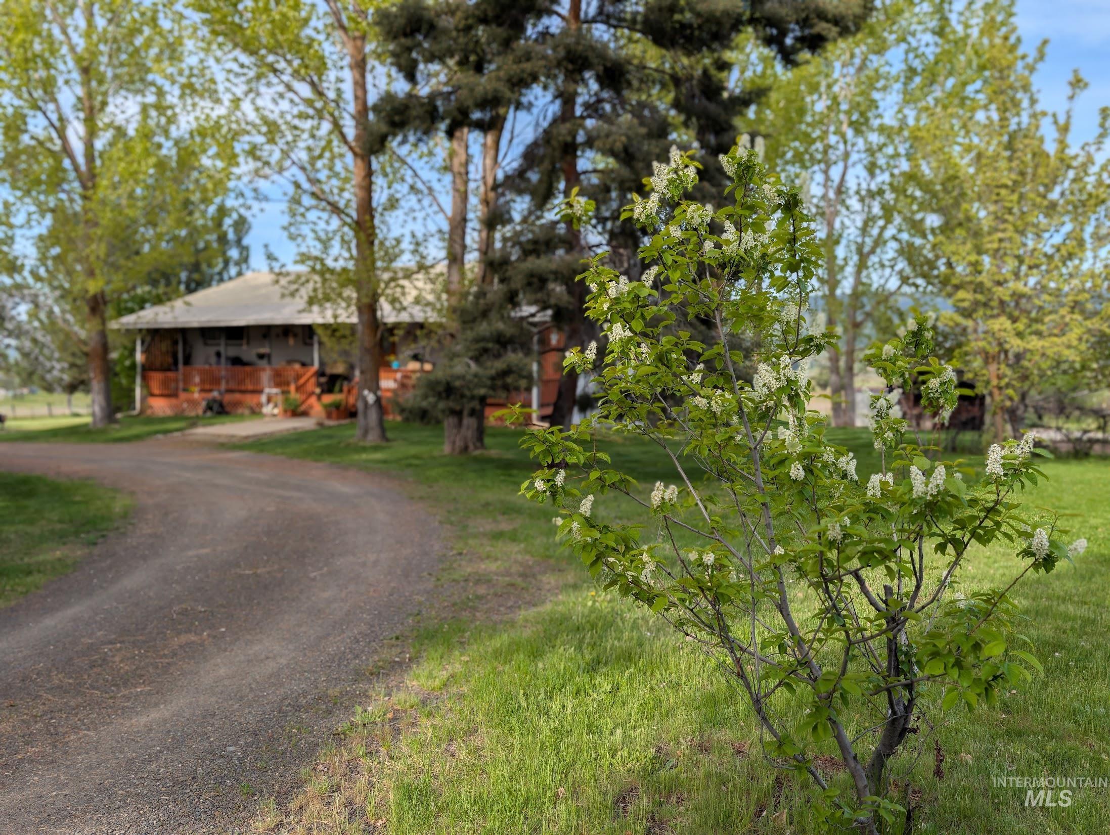 2127 Hwy 95 Property Photo 1