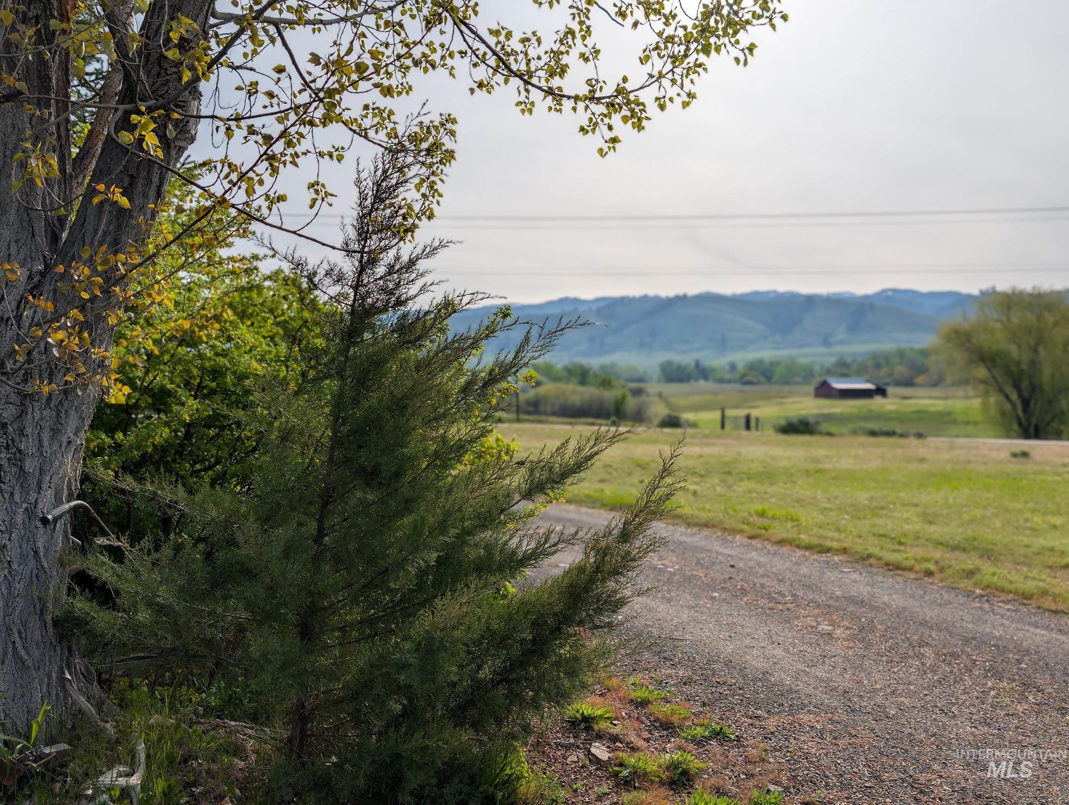 2127 Hwy 95 Property Photo 6