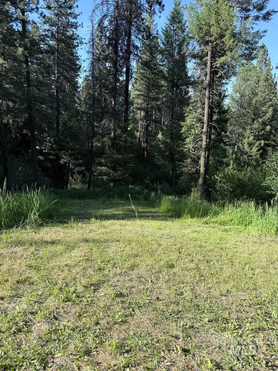 70 Castle Mountain Dr Property Photo 24