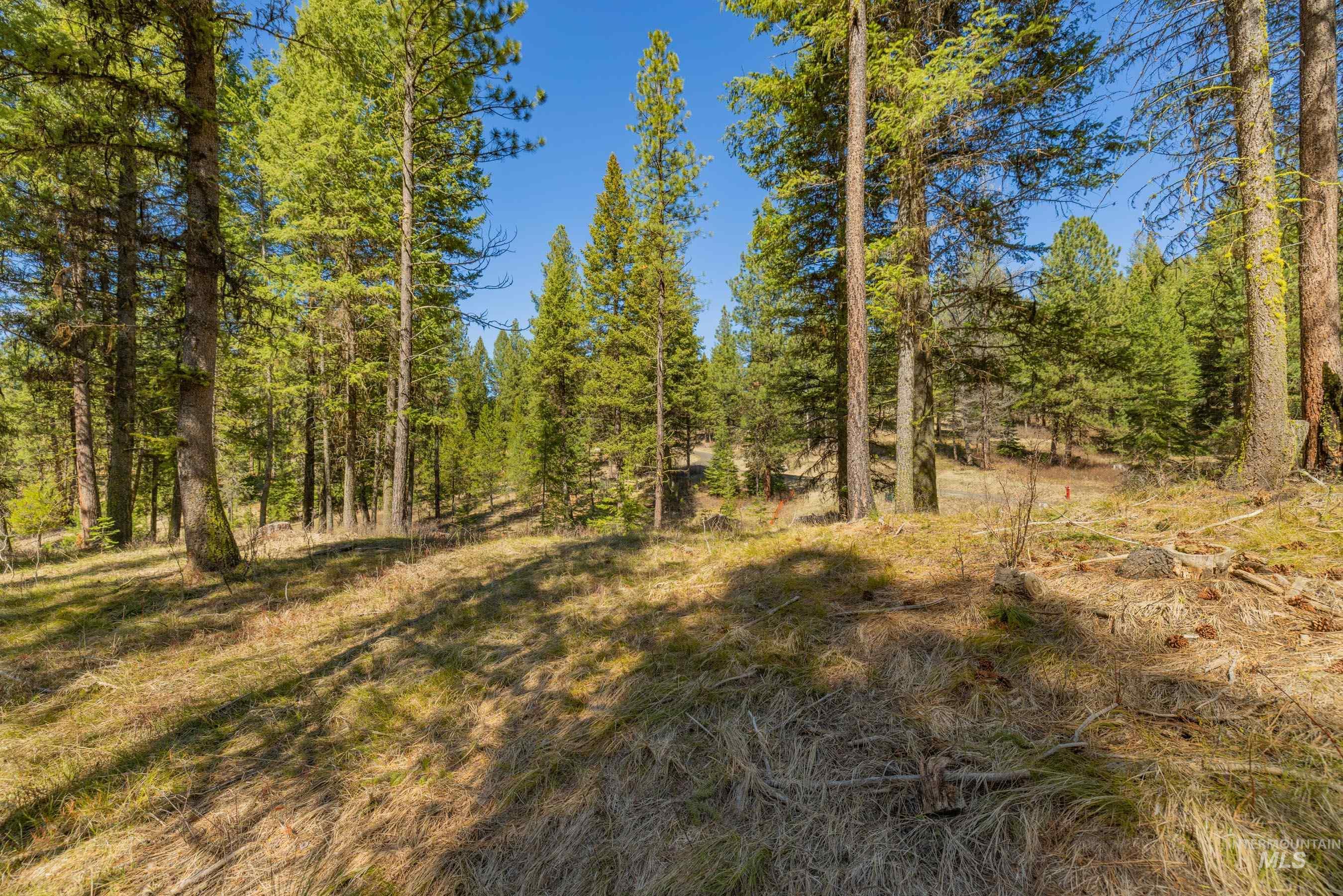 9 Collins Court Property Photo 6