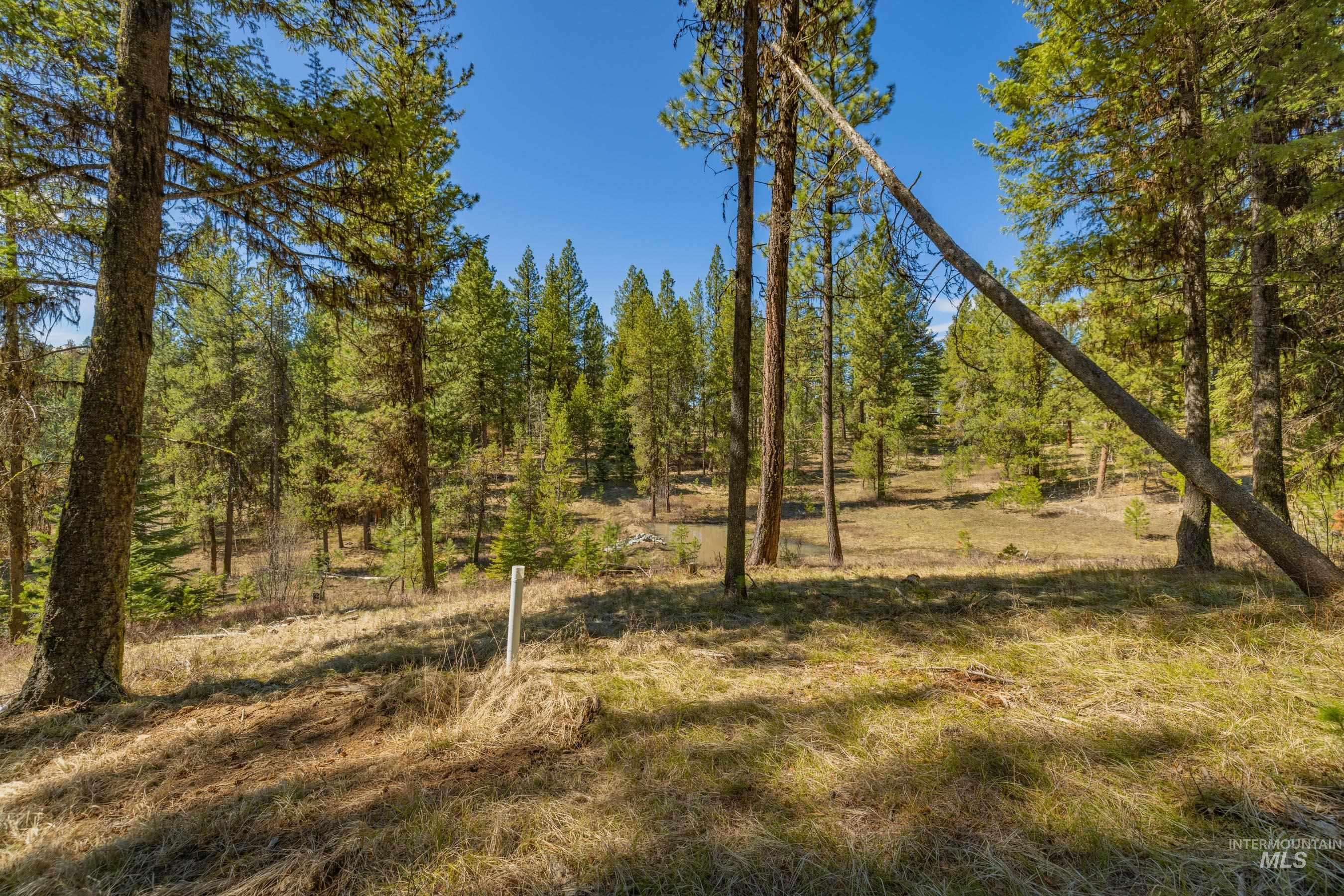 9 Collins Court Property Photo 10