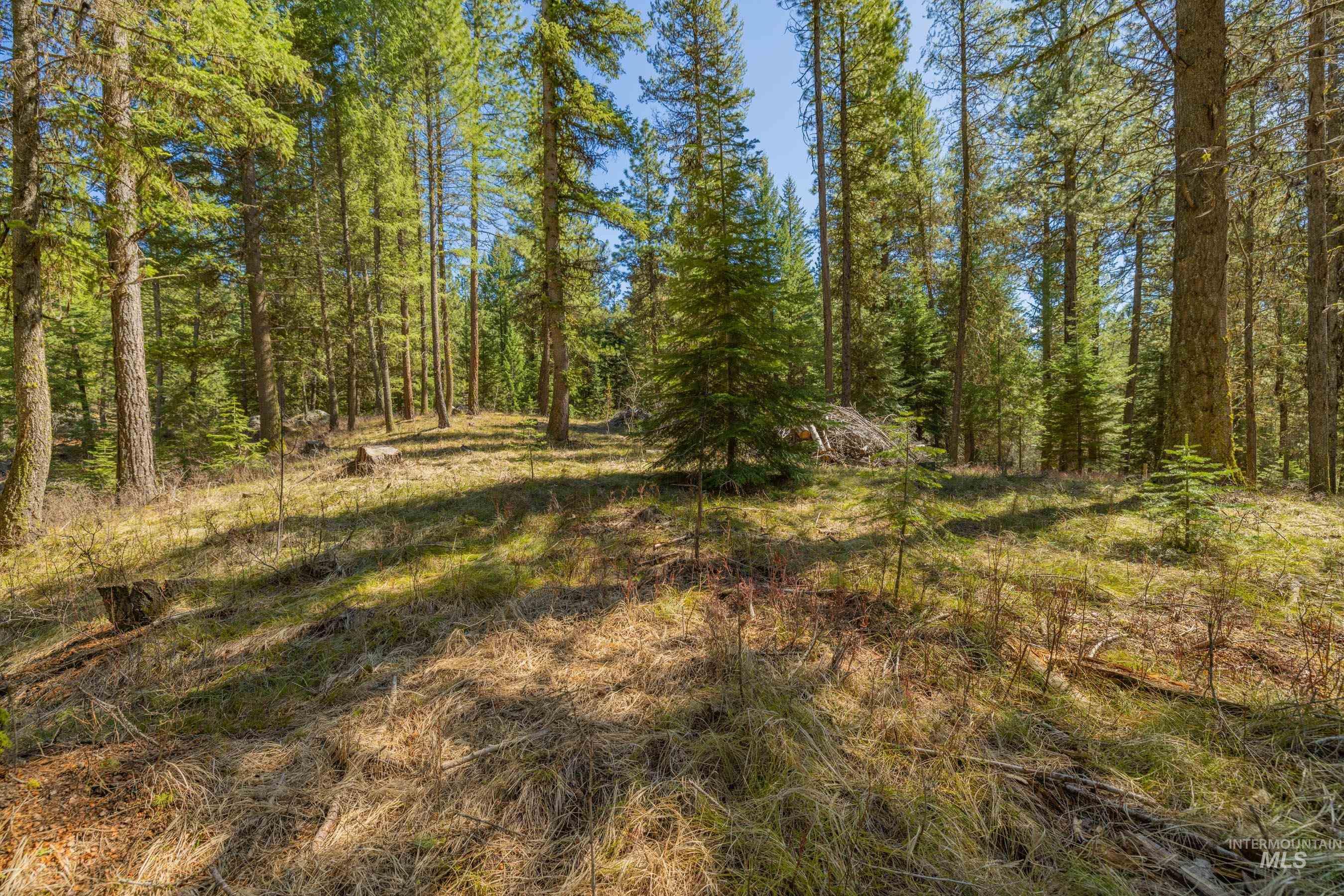 9 Collins Court Property Photo 14