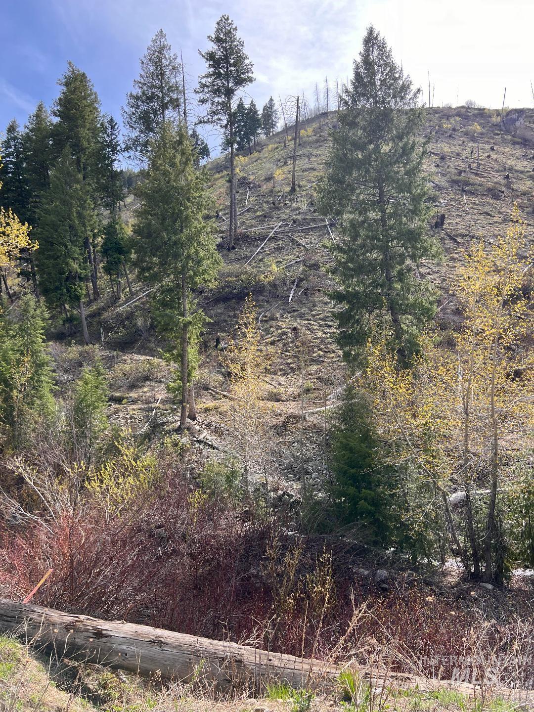 Quartz Creek Rd. Property Photo 4