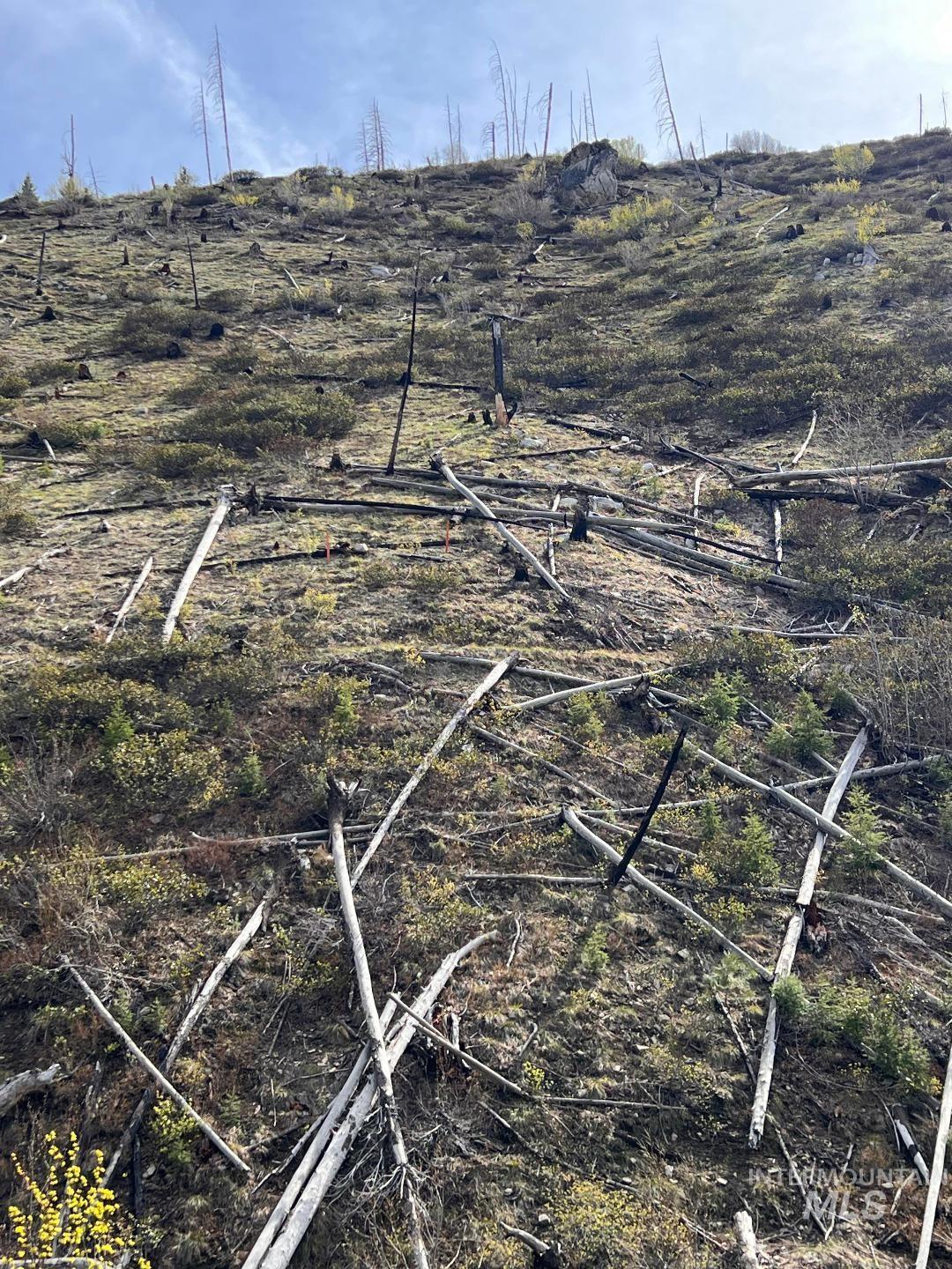 Quartz Creek Rd. Property Photo 5