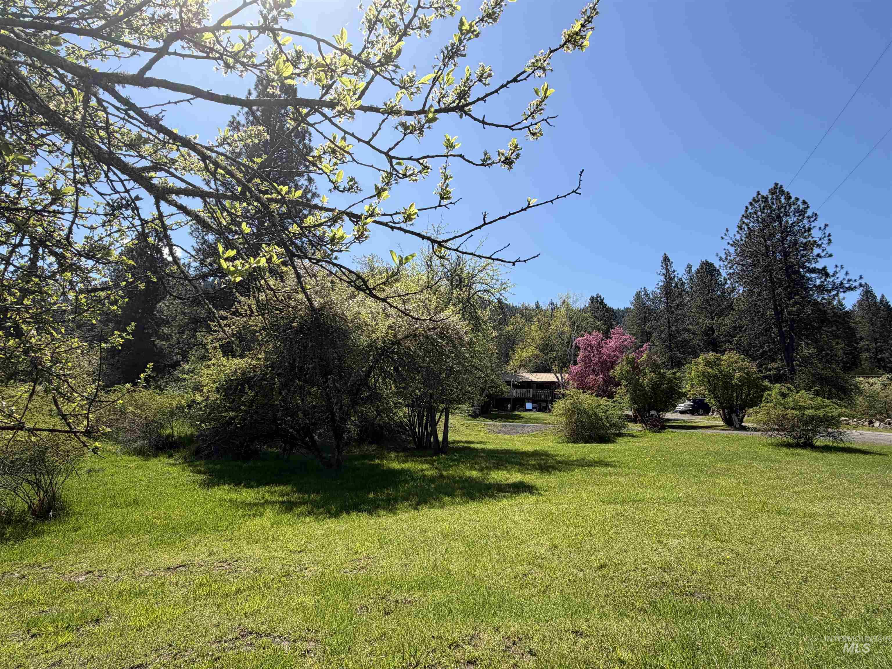 1238 O'brien Road Property Photo 3