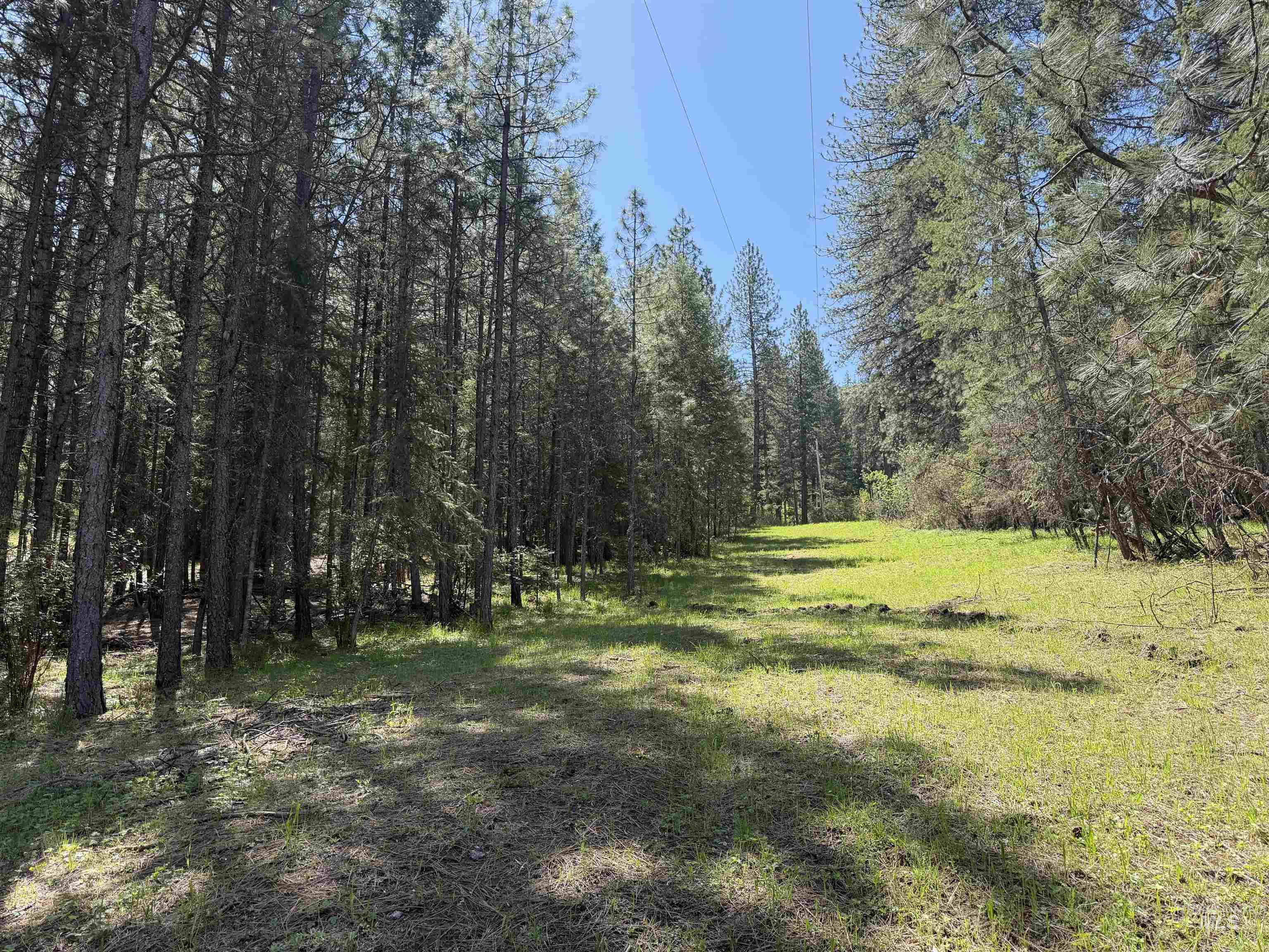 1238 O'brien Road Property Photo 47