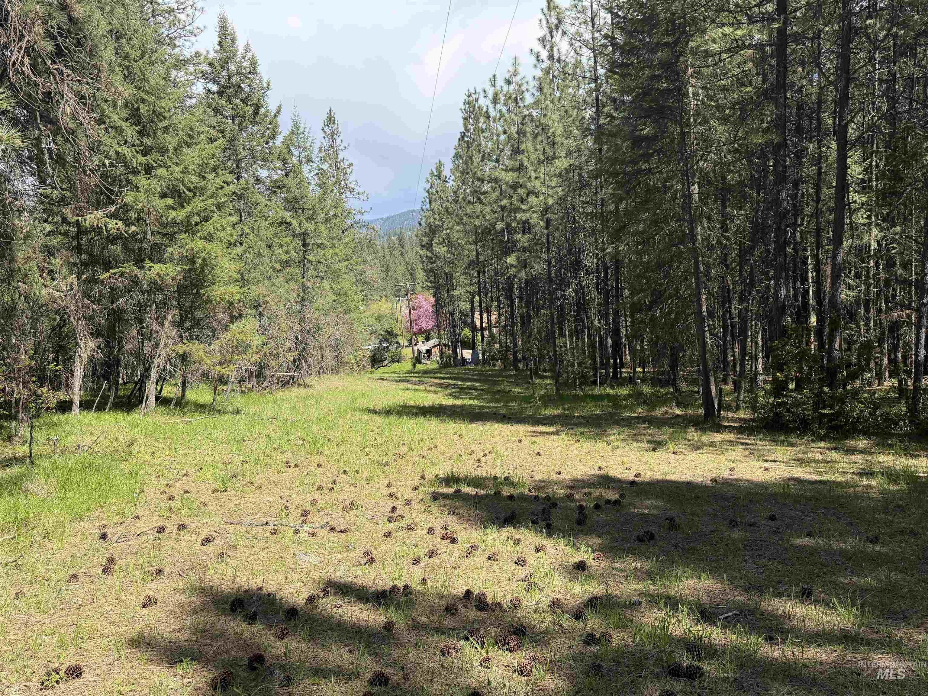 1238 O'brien Road Property Photo 48