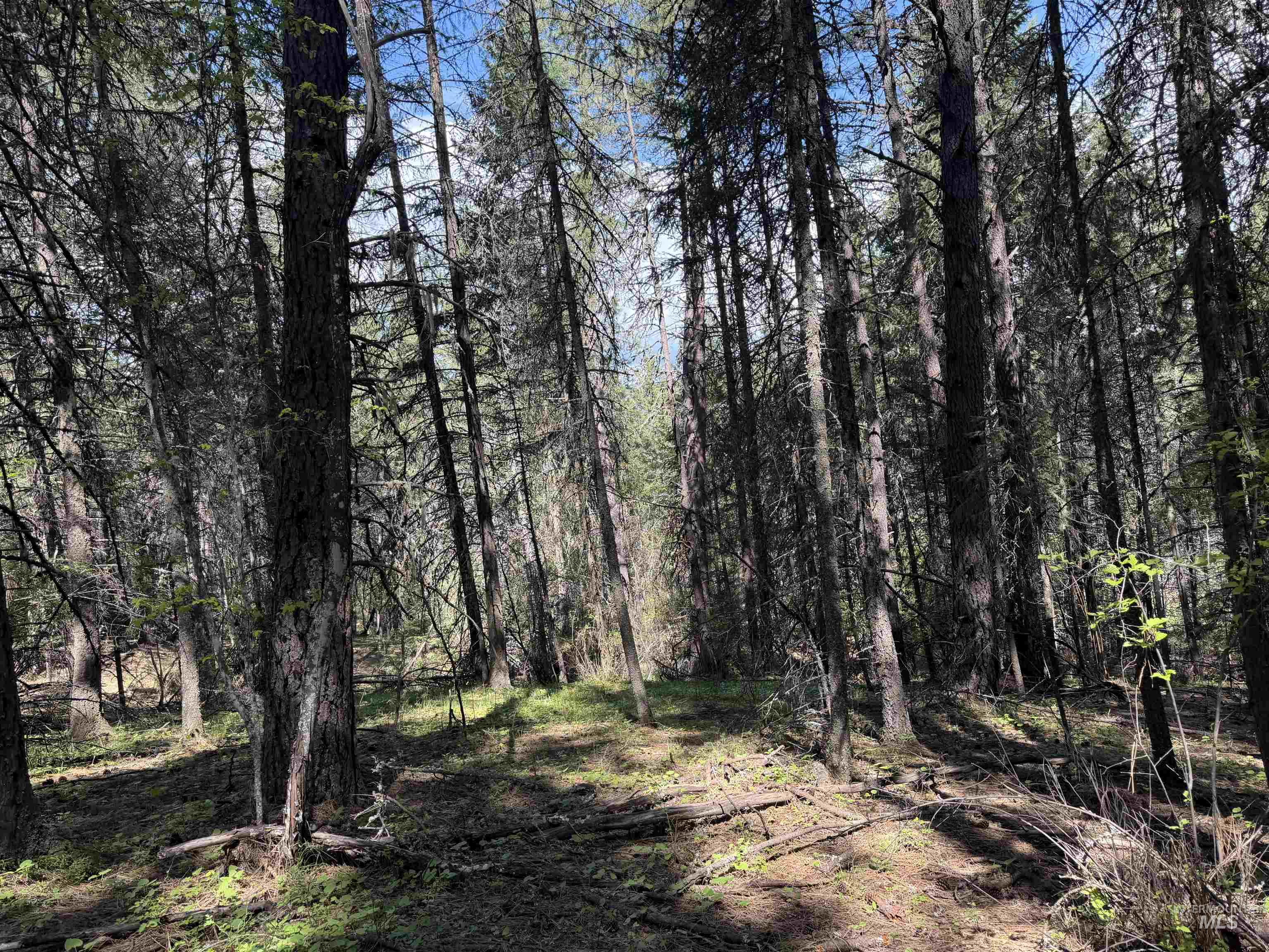1238 O'brien Road Property Photo 49